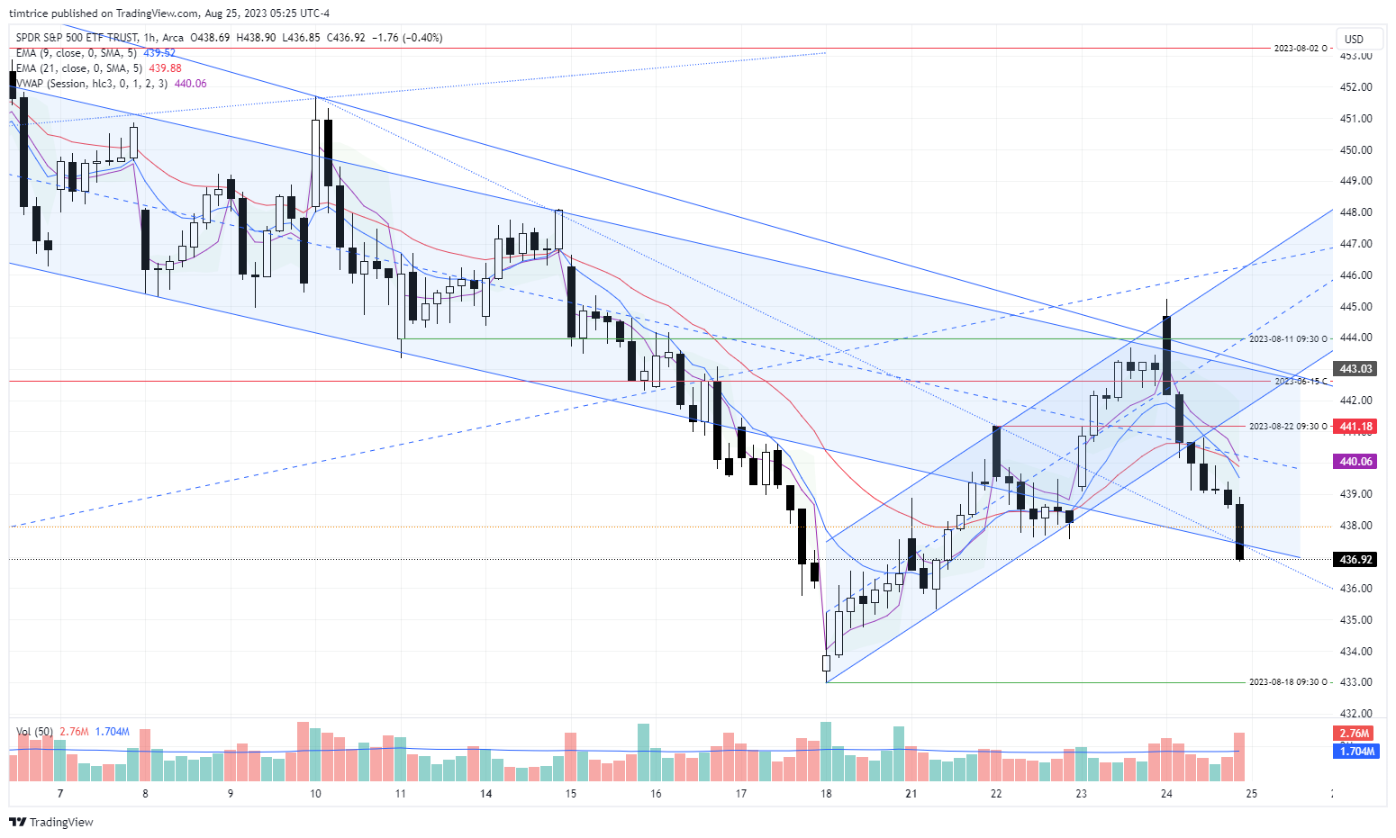 AMEX:SPY Chart Image by timtrice