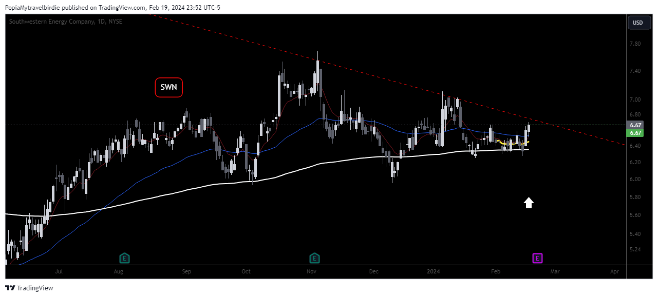 BATS:SWN Chart Image by PopiaMytravelbirdie