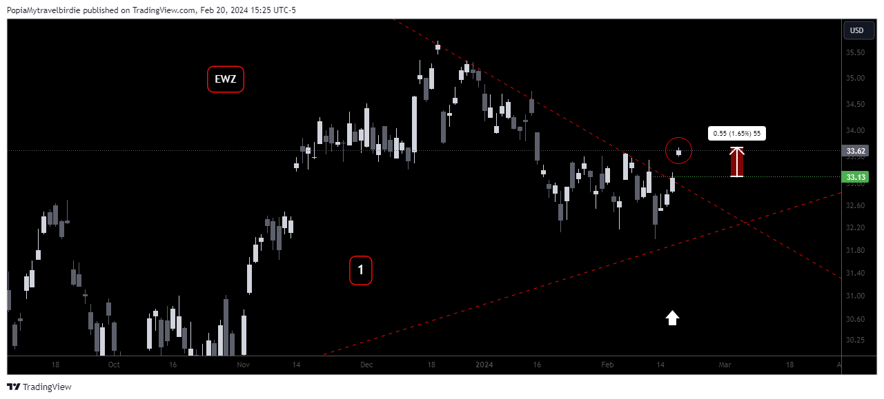 BATS:EWZ Chart Image by PopiaMytravelbirdie