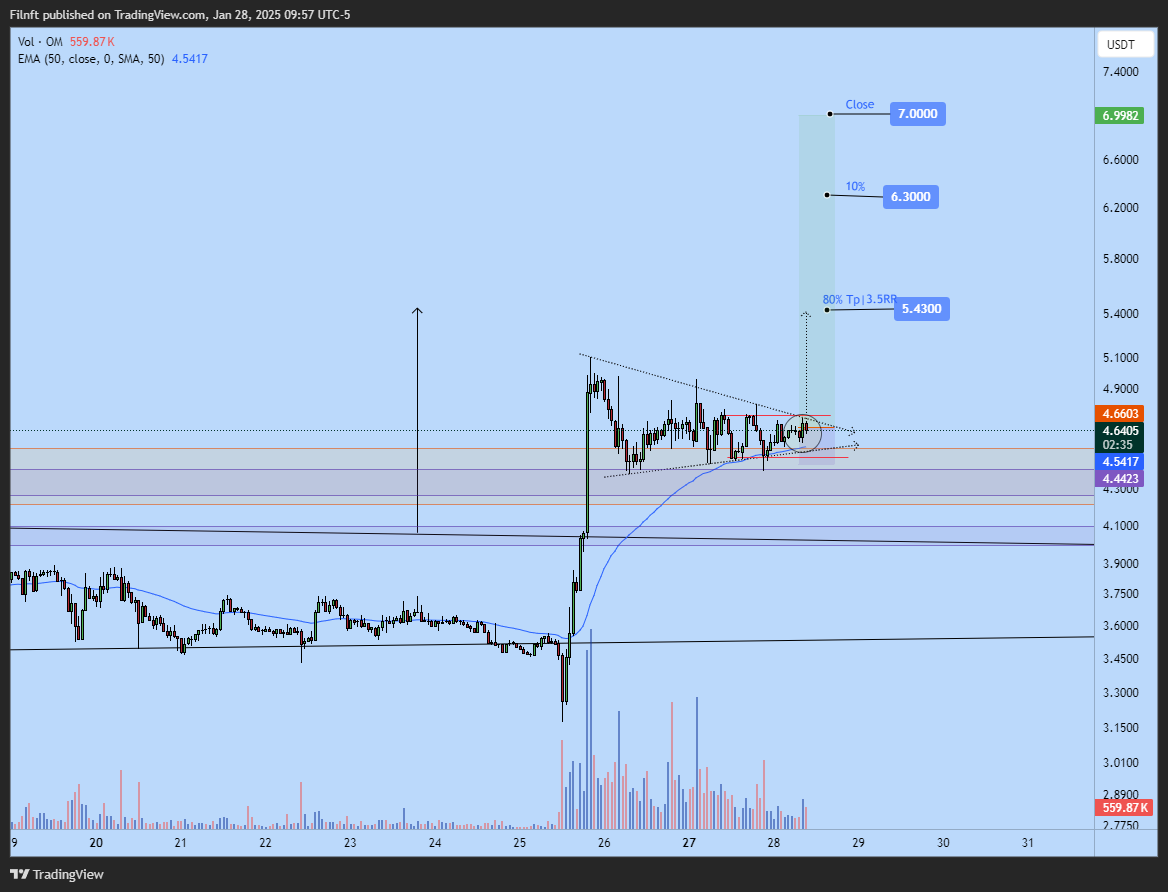 BINANCE:OMUSDT Chart Image by Filnft