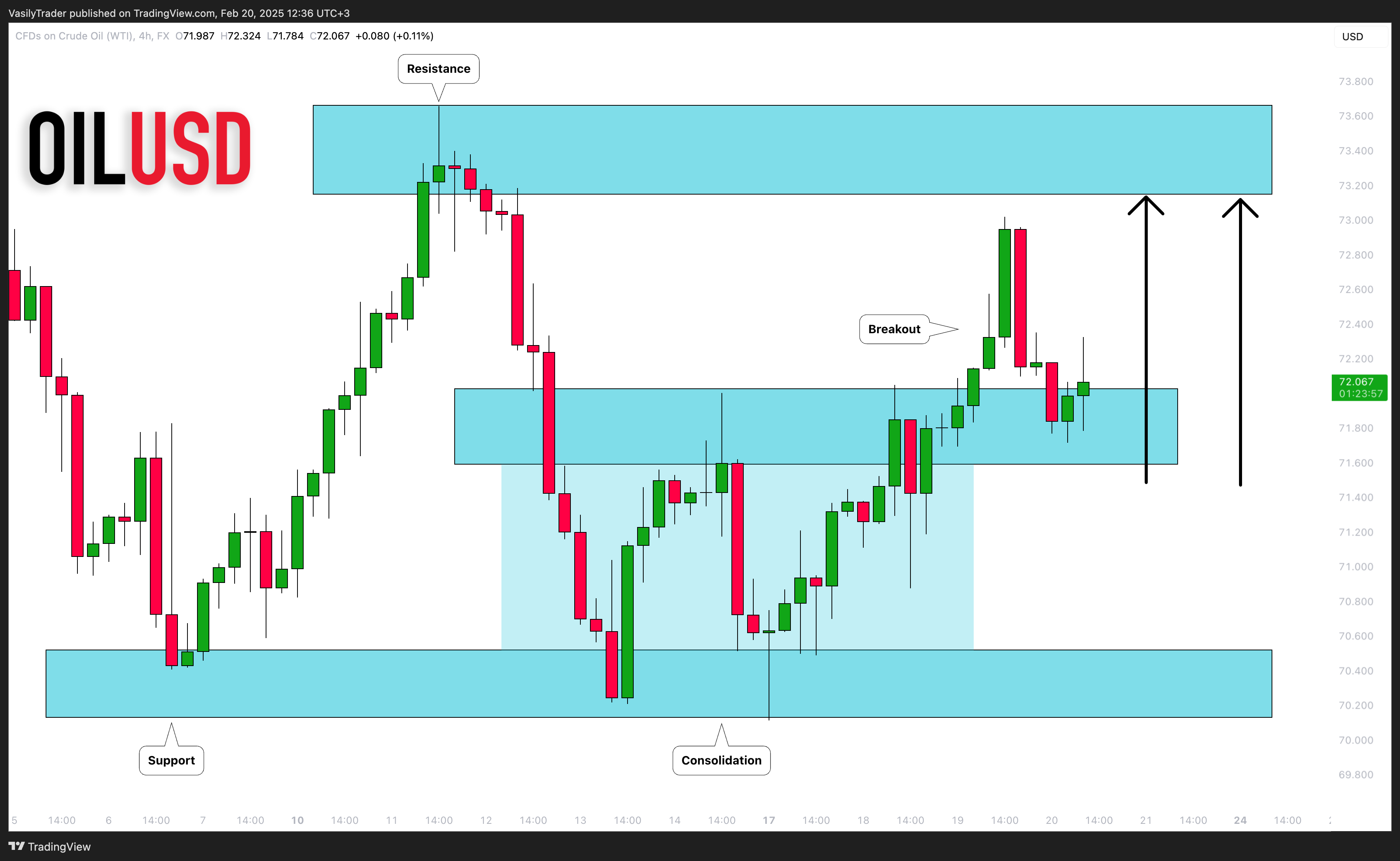FX:USOIL Chart Image by VasilyTrader