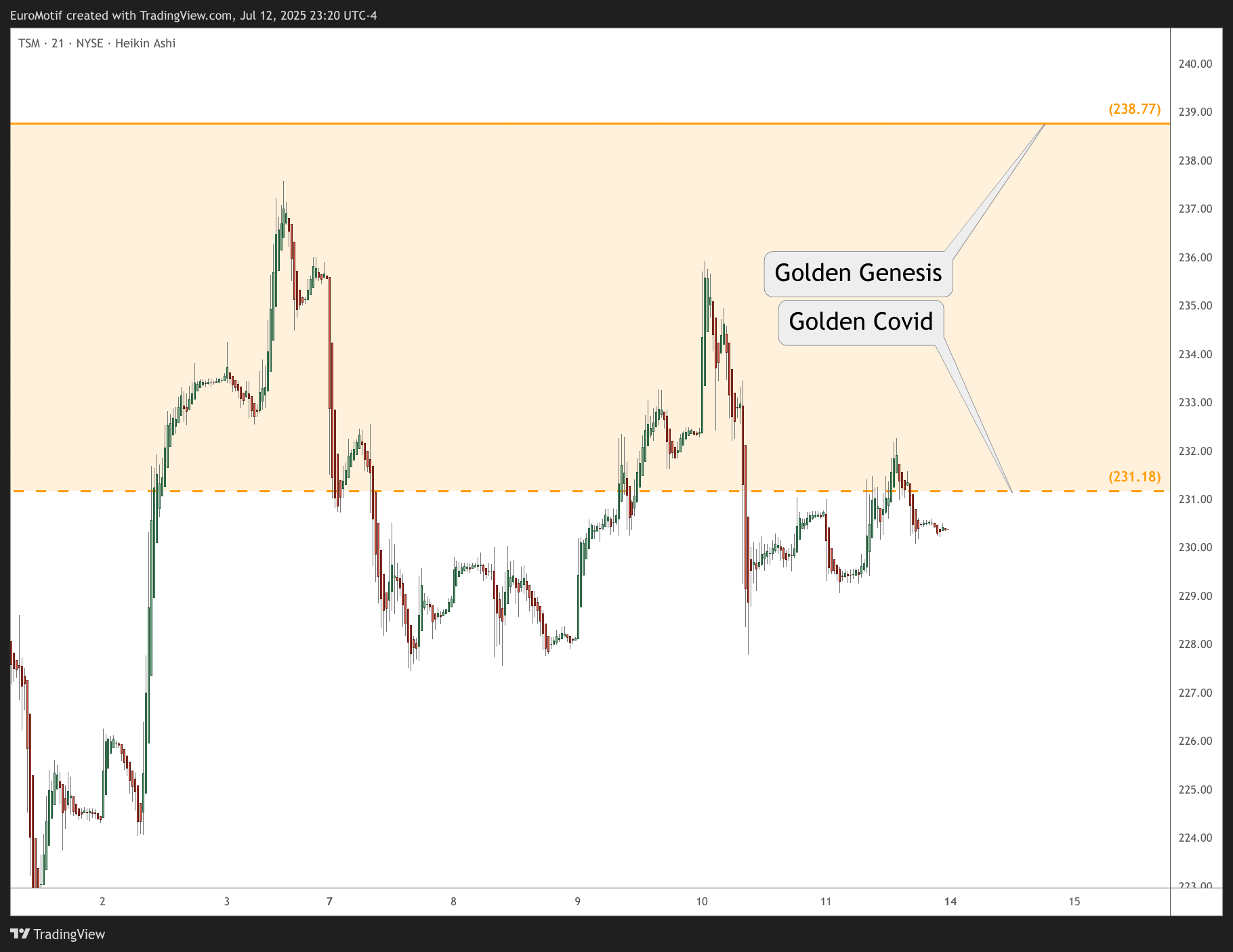 BATS:TSM Chart Image by EuroMotif