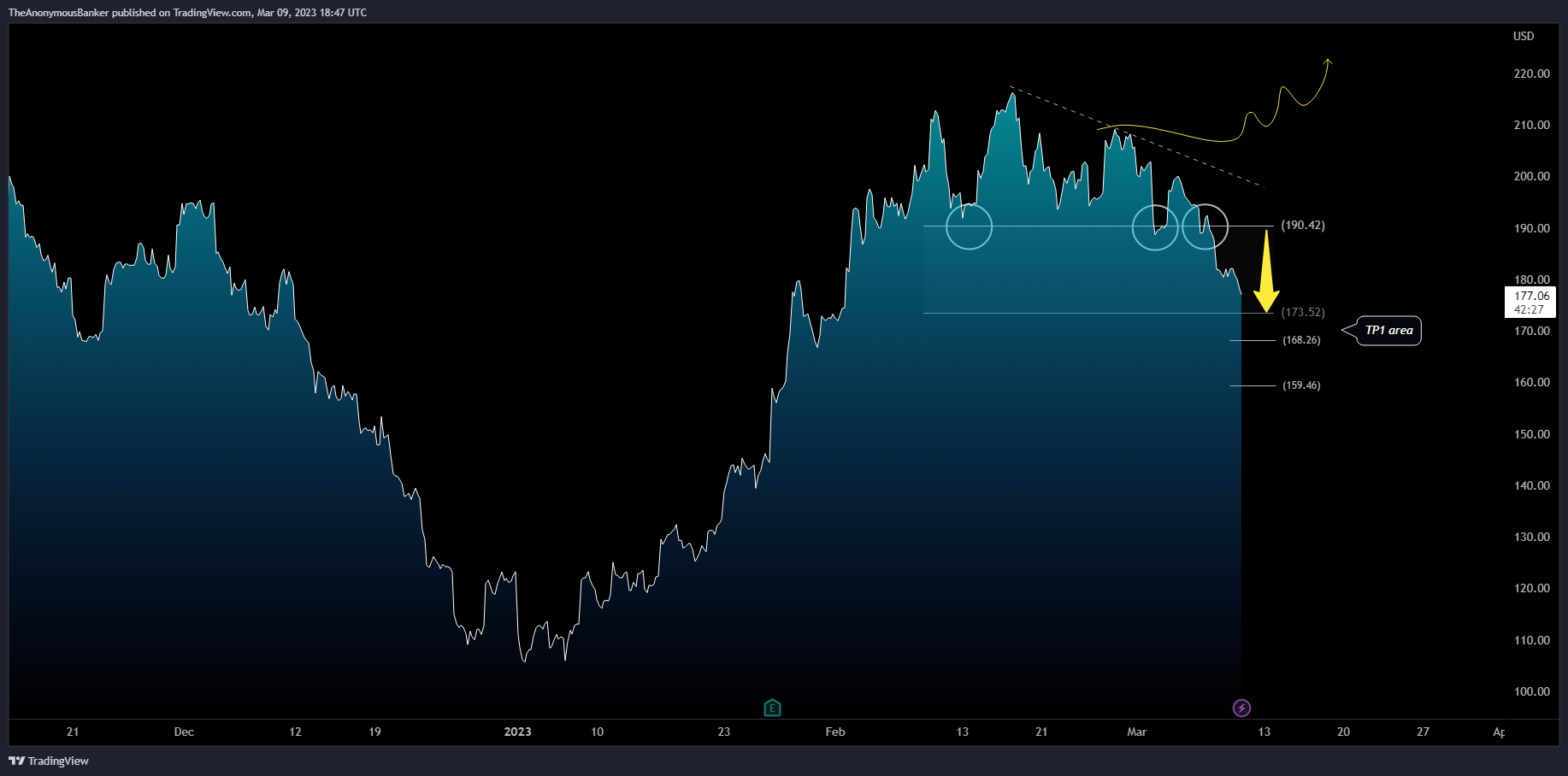 NASDAQ:TSLA Chart Image by TheAnonymousBanker