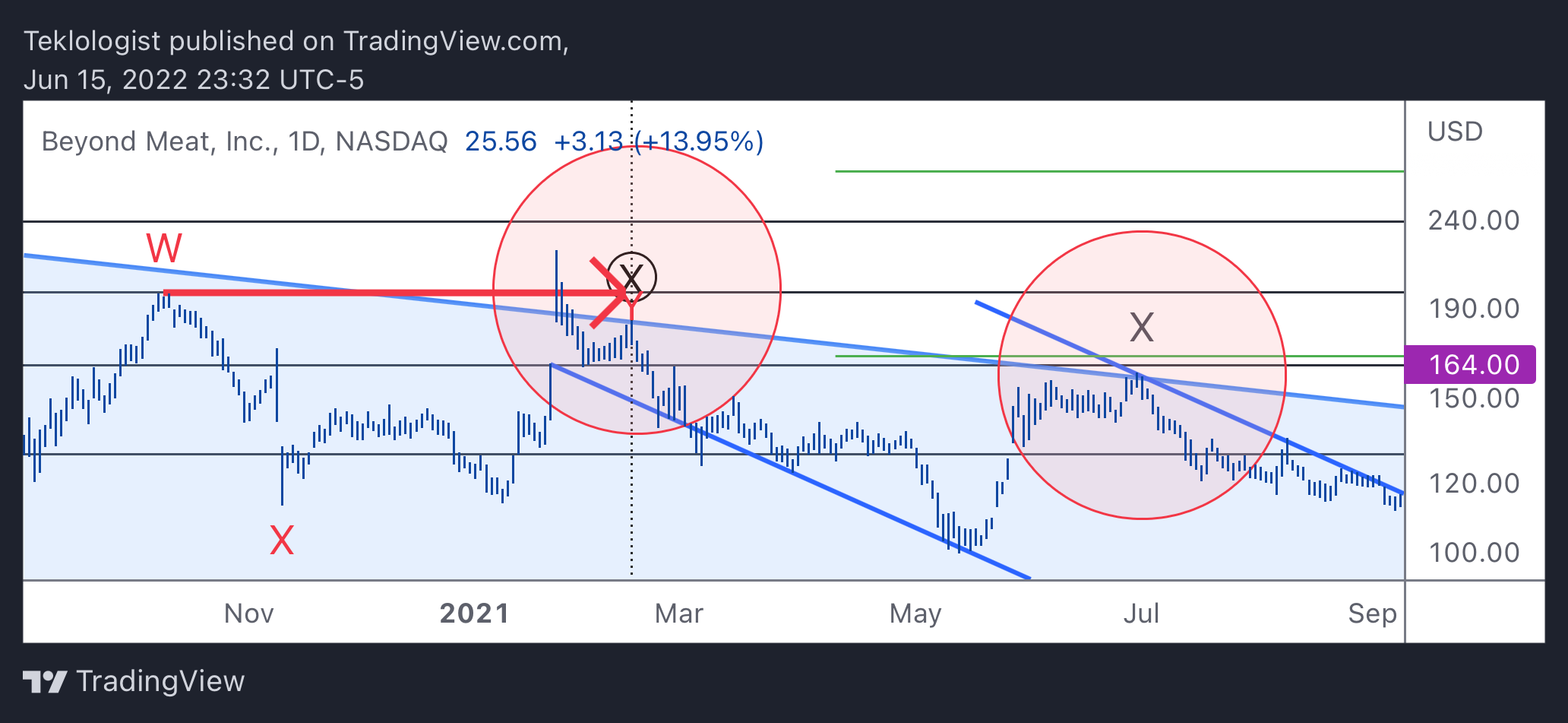 NASDAQ:BYND Chart Image by Teklologist
