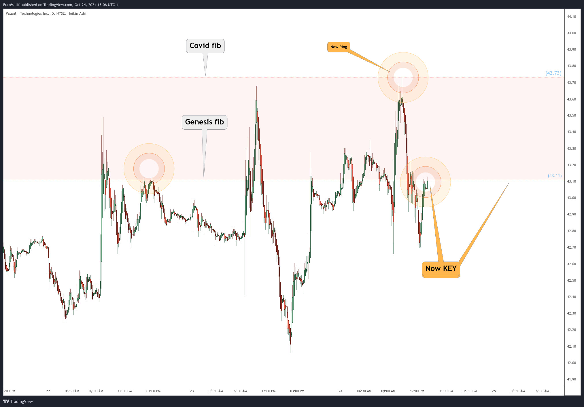 BATS:PLTR Chart Image by EuroMotif