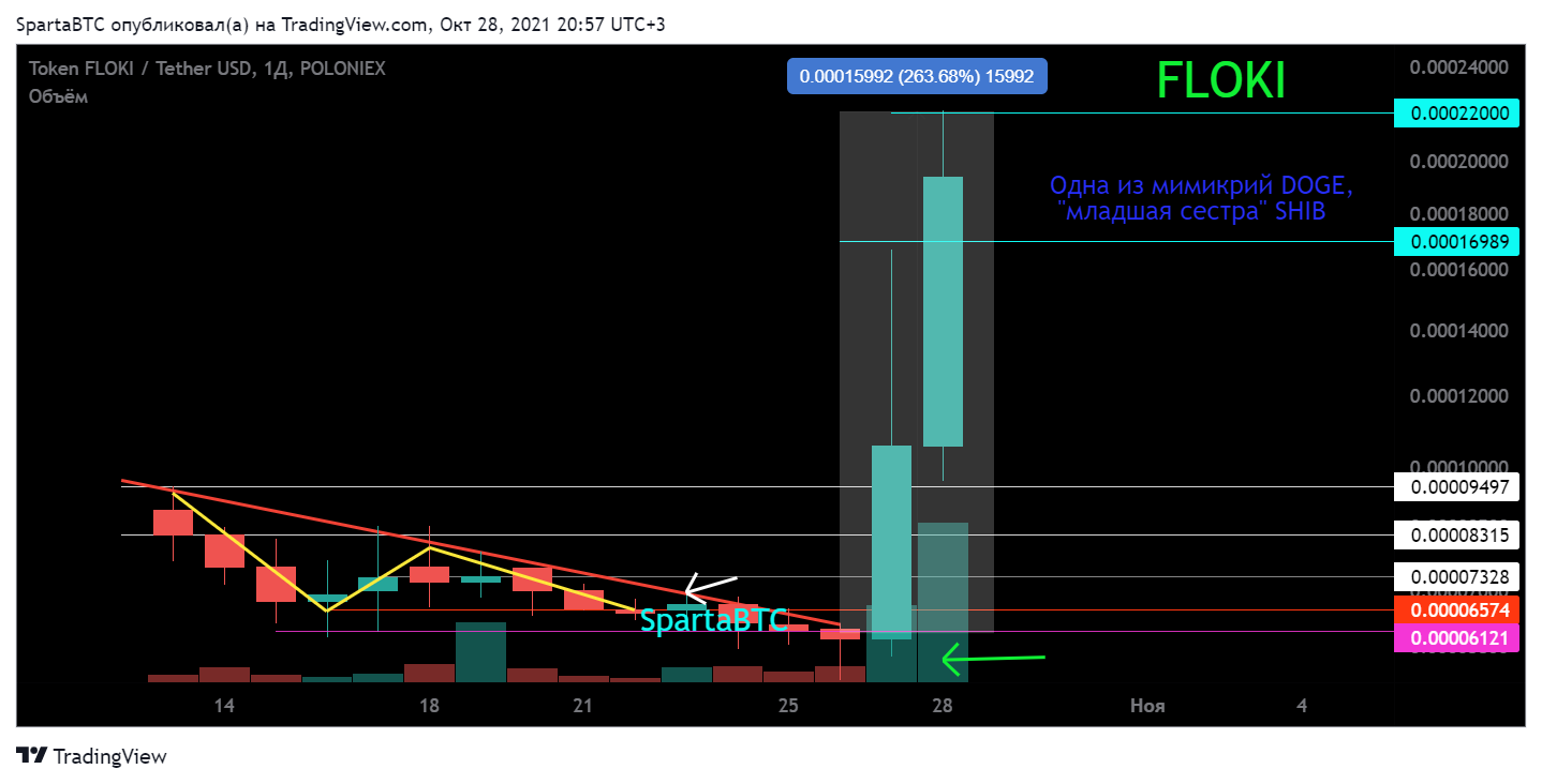POLONIEX:FLOKIUSDT Chart Image by SpartaBTC