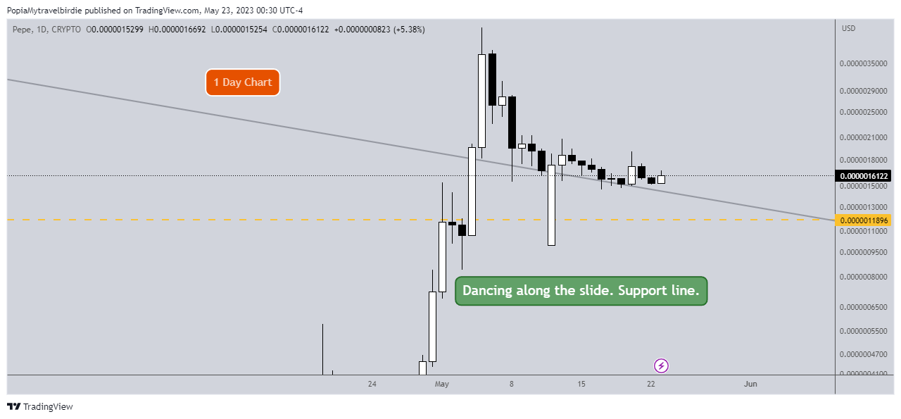 CRYPTO:PEPEUSD Chart Image by PopiaMytravelbirdie