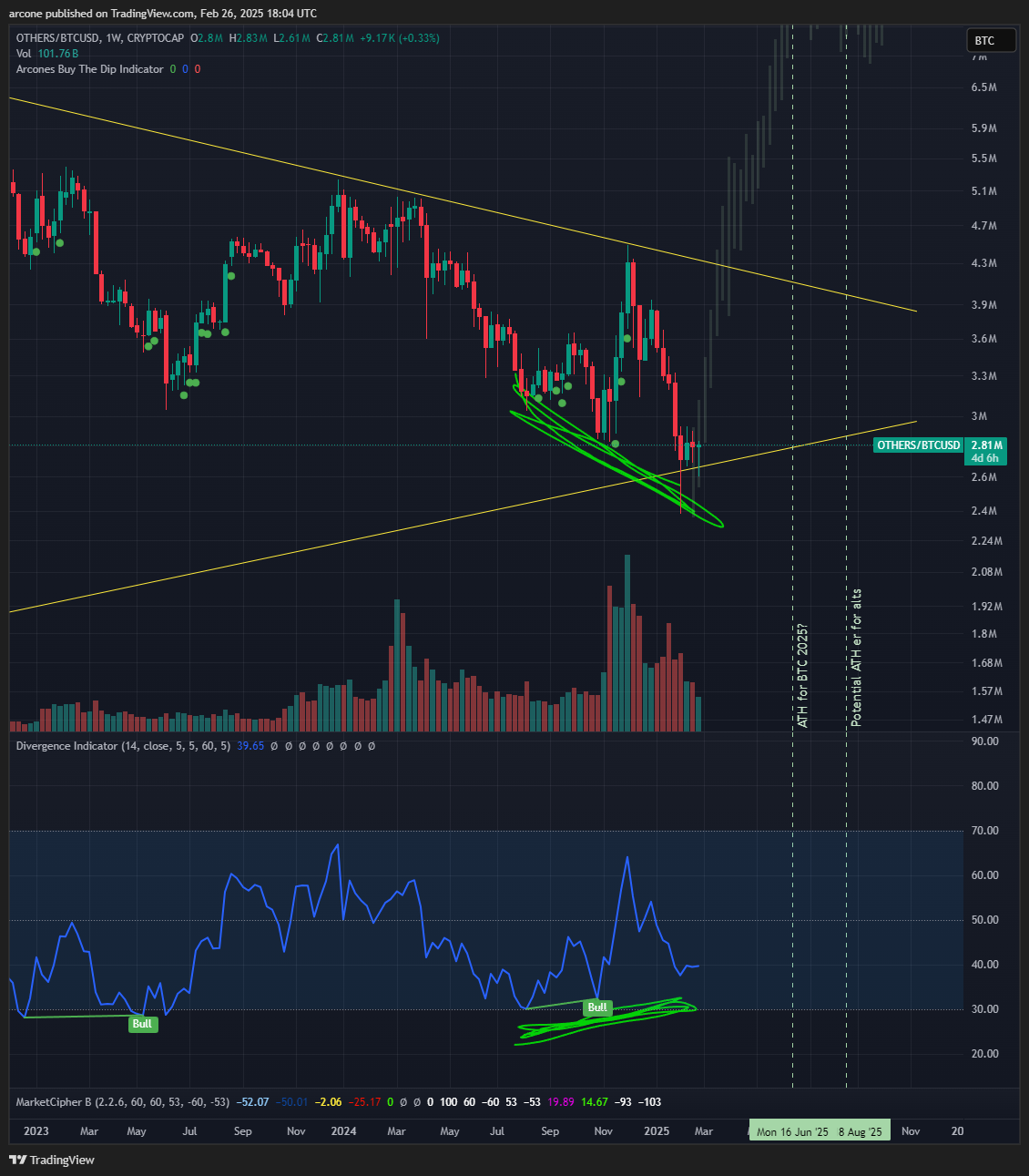 CRYPTOCAP:OTHERS/BITSTAMP:BTCUSD Chart Image by arcone
