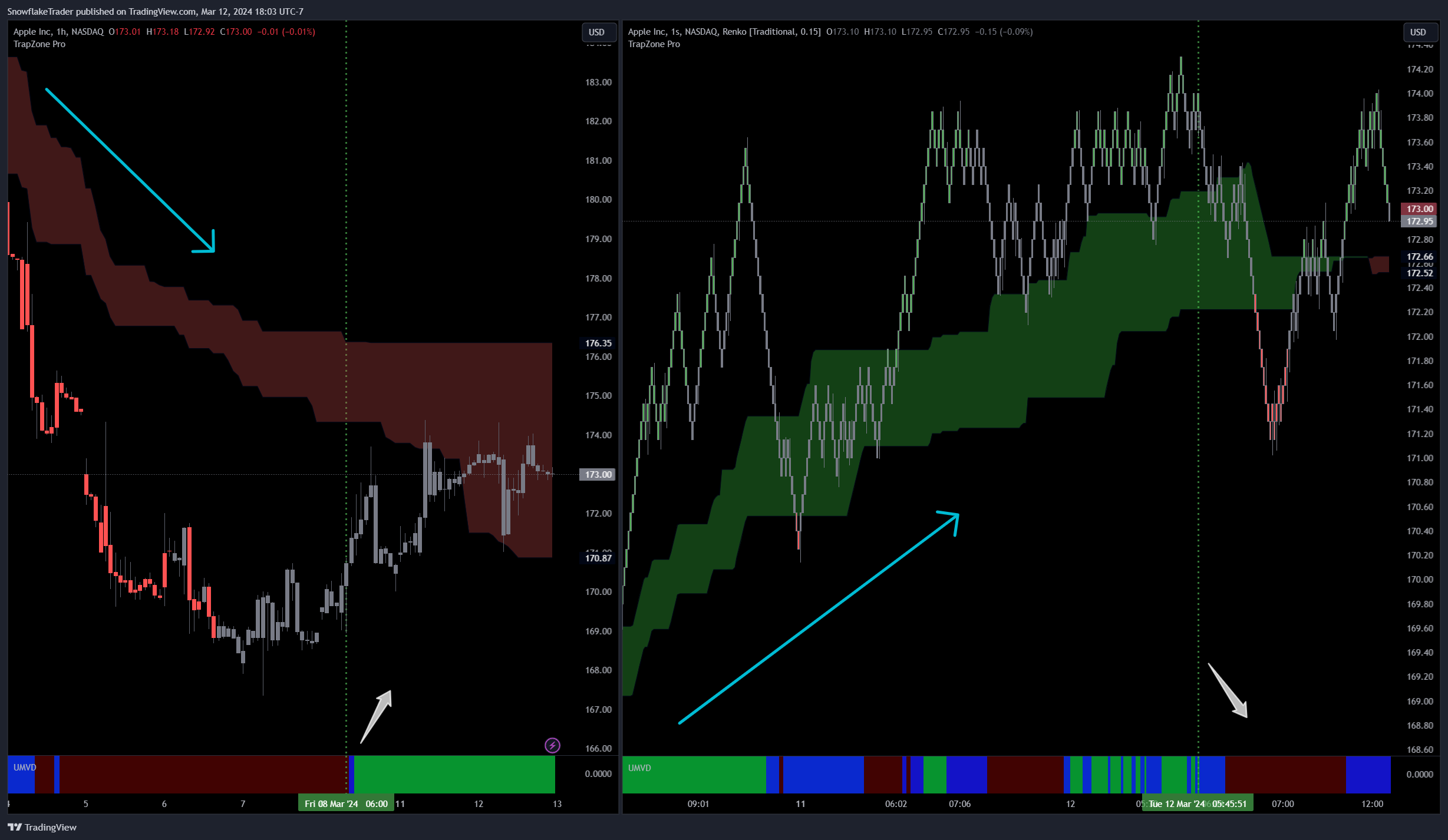 NASDAQ:AAPL Chart Image by SnowflakeTrader