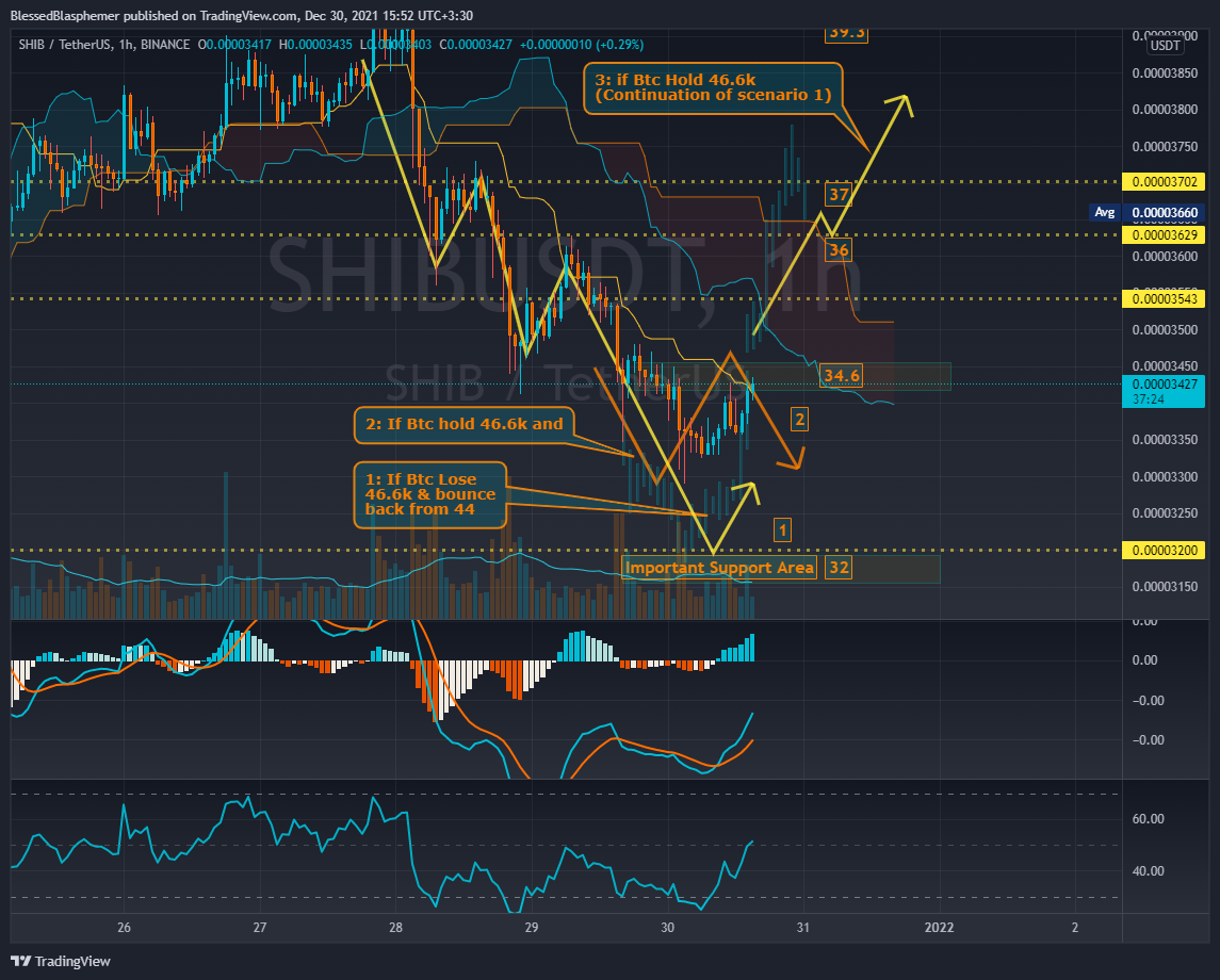 BINANCE:SHIBUSDT Chart Image by BlessedBlasphemer