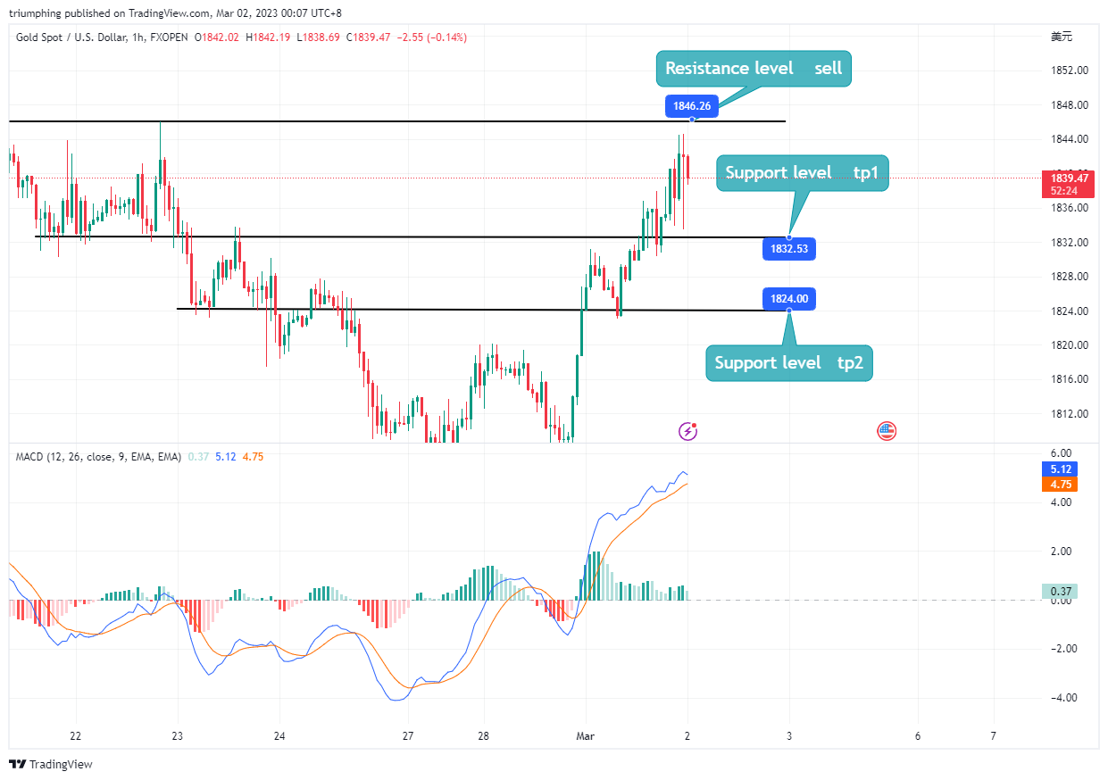 FXOPEN:XAUUSD Chart Image by triumphing