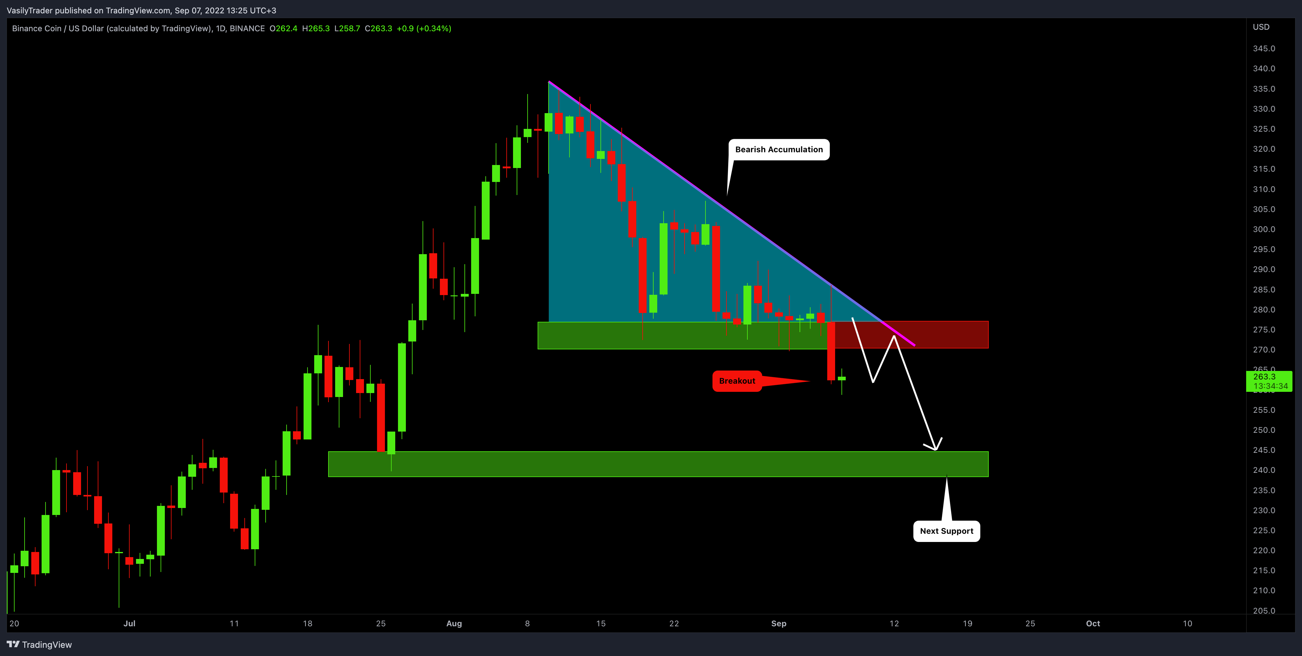 BINANCE:BNBUSD Chart Image by VasilyTrader
