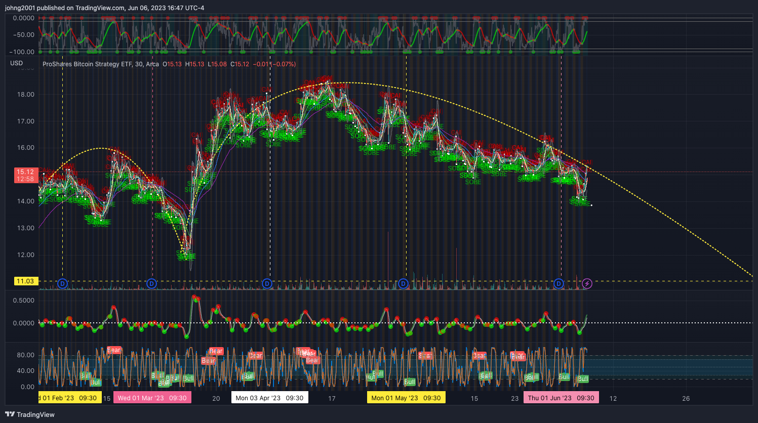 AMEX:BITO Chart Image by johng2001