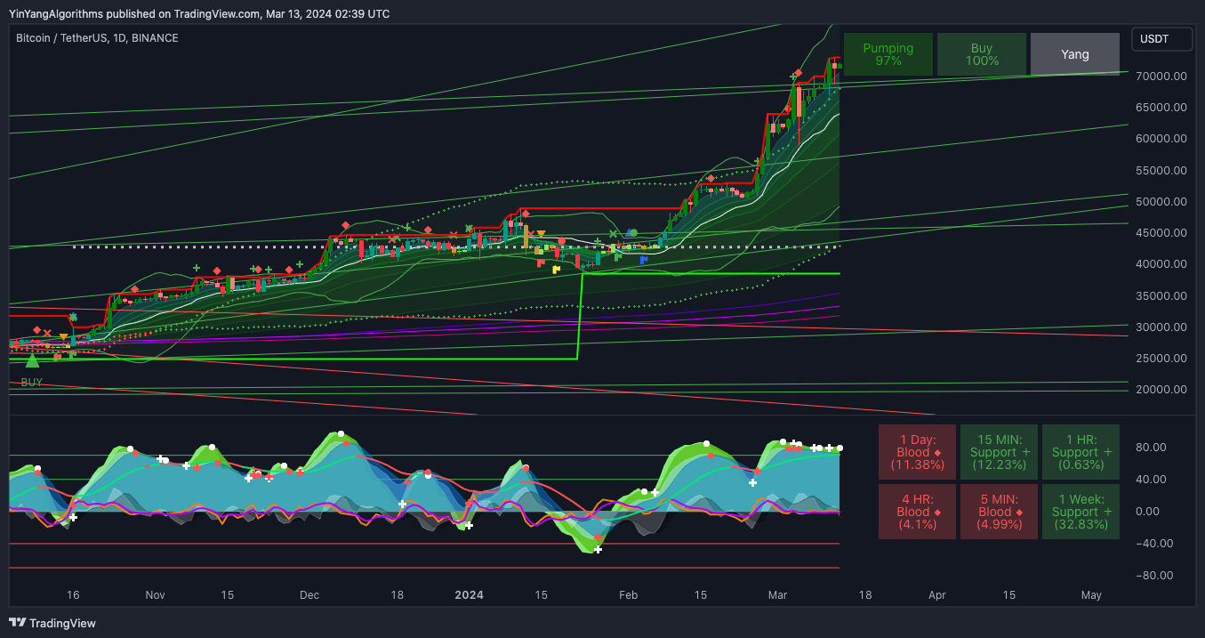 BINANCE:BTCUSDT Chart Image by YinYangAlgorithms