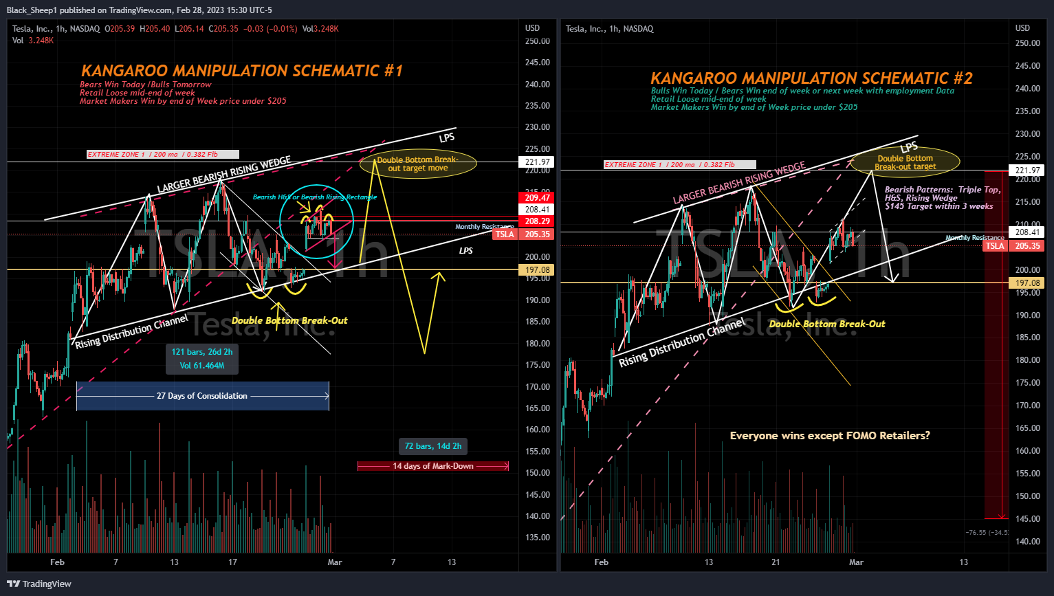 NASDAQ:TSLA Chart Image by Black_Sheep1
