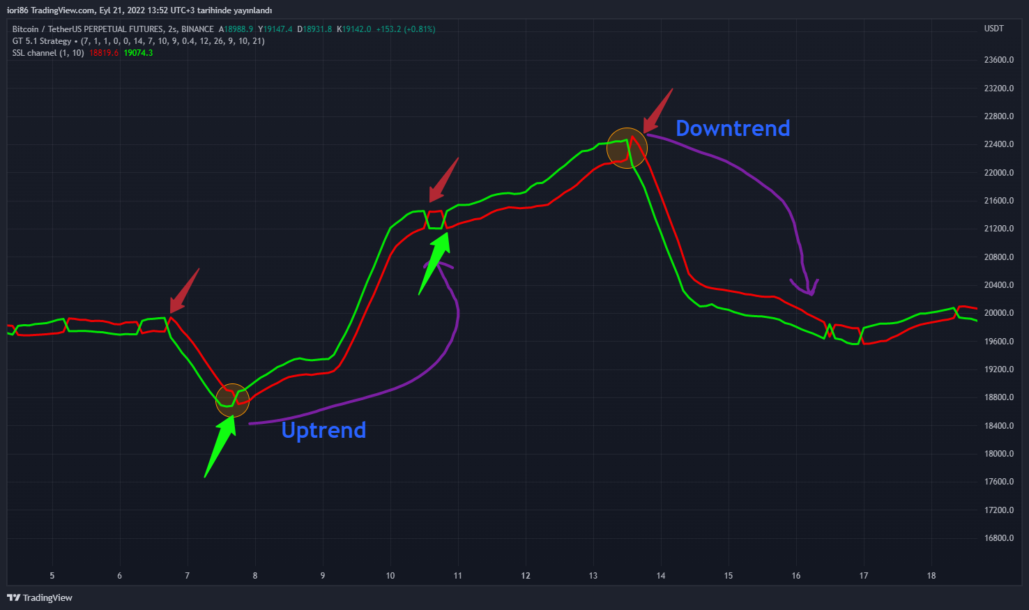 BINANCE:BTCUSDTPERP Chart Image by iori86