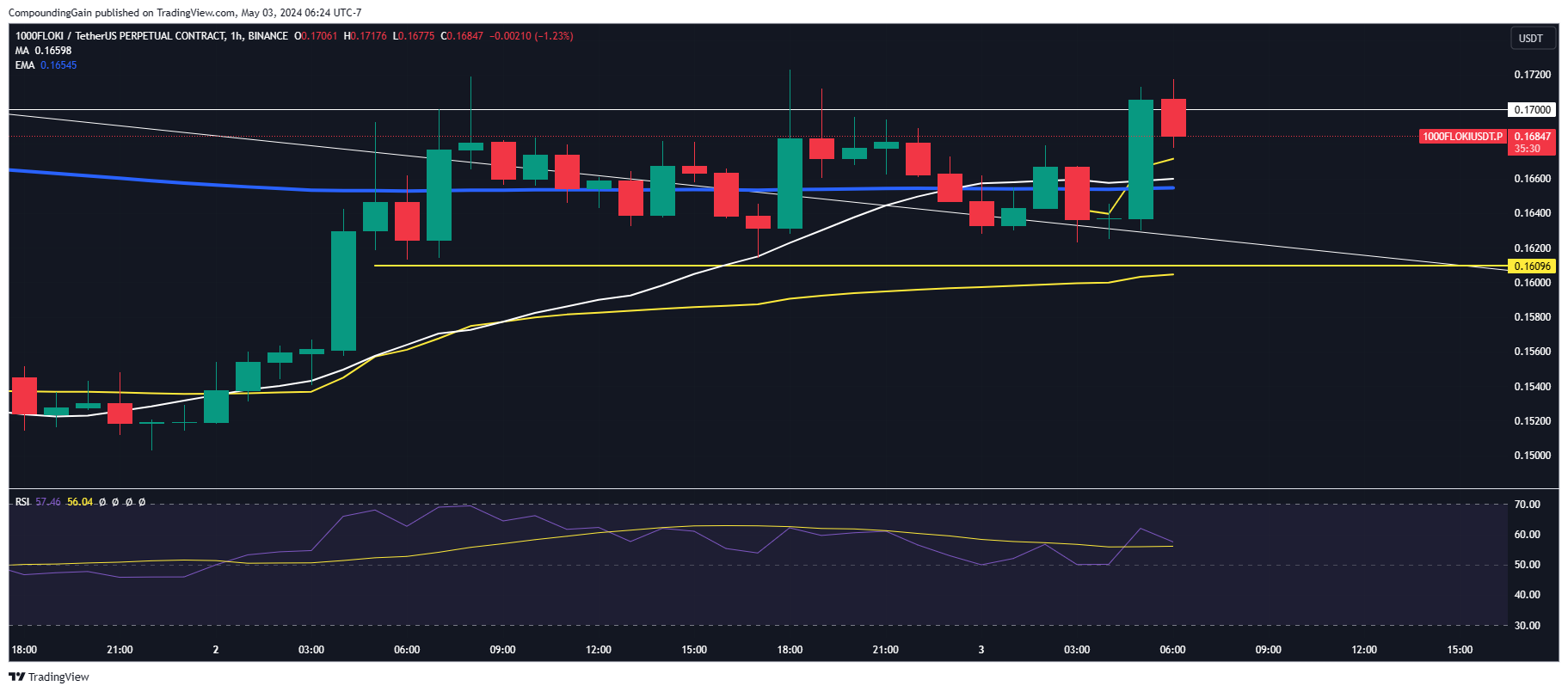 BINANCE:1000FLOKIUSDT.P Chart Image by CompoundingGain
