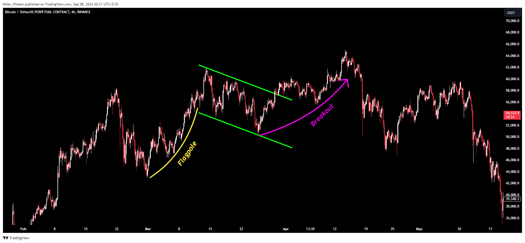 BINANCE:BTCUSDT.P Chart Image by Killer_Whales