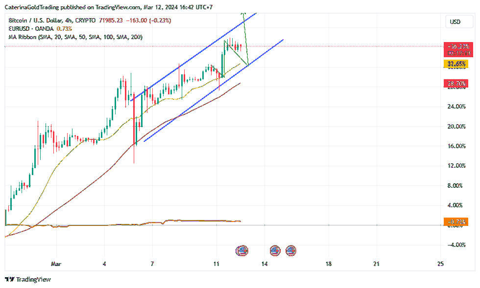 CRYPTO:BTCUSD Chart Image by CaterinaGoldTrading