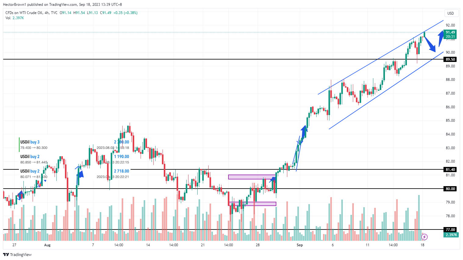TVC:USOIL Chart Image by HectorBrown1