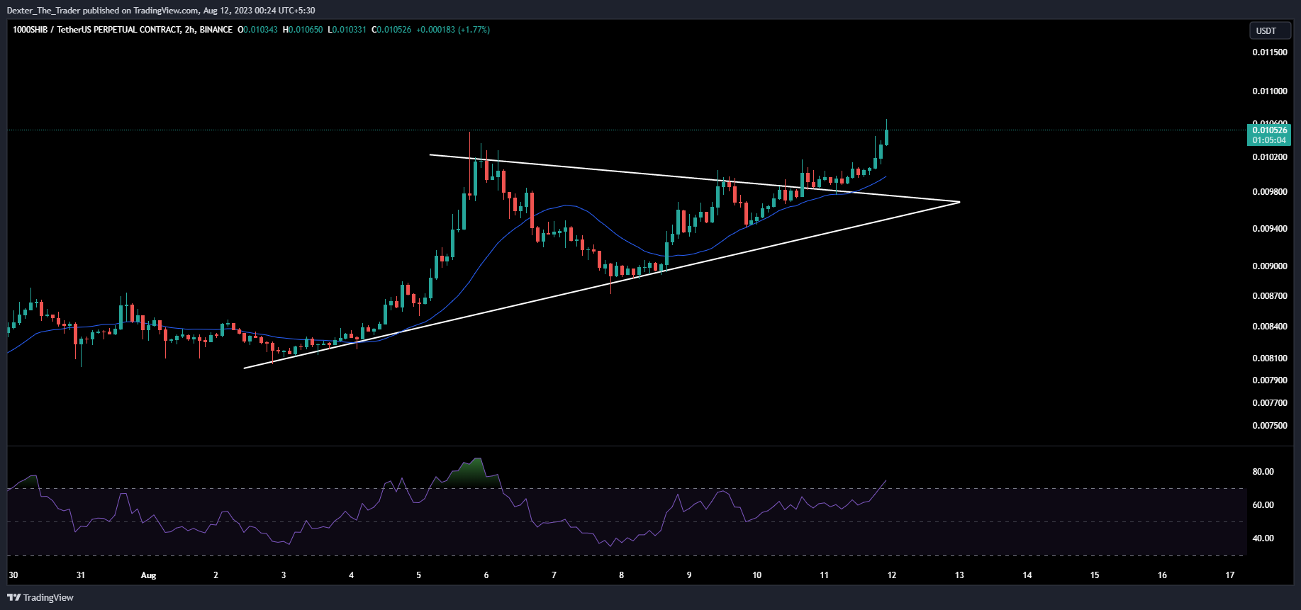 BINANCE:1000SHIBUSDT.P Chart Image by Dexter_The_Trader