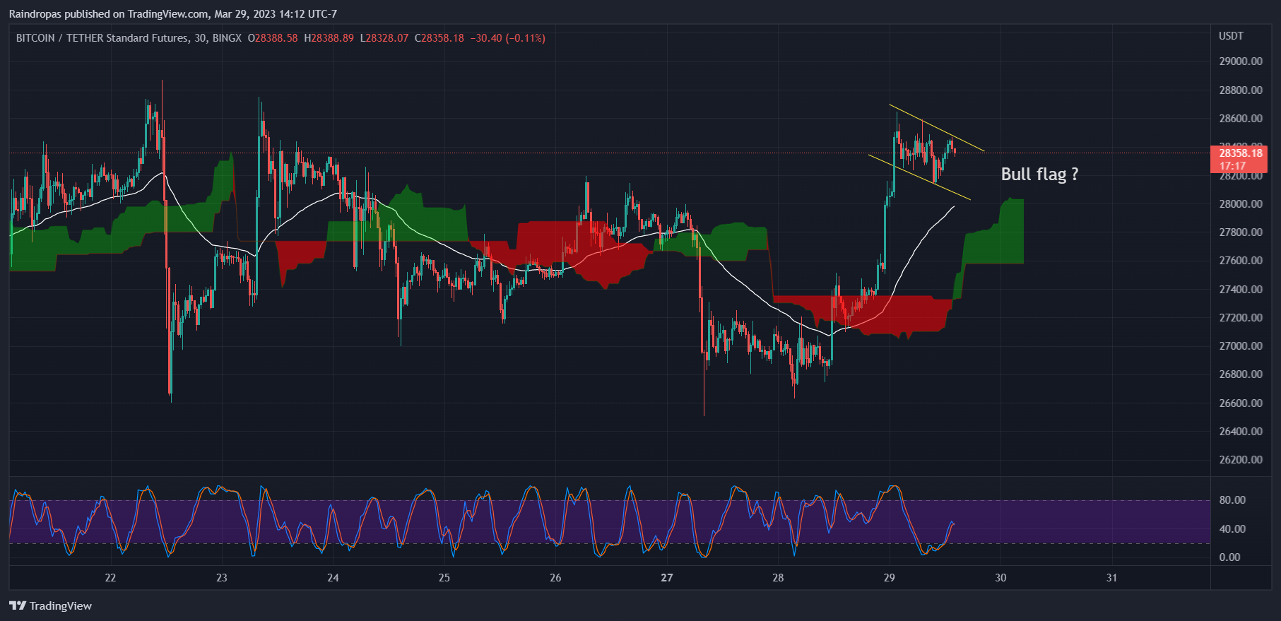BINGX:BTCUSDT.PS Chart Image by Raindropas