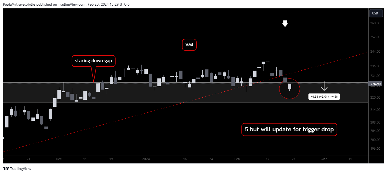 BATS:VMI Chart Image by PopiaMytravelbirdie