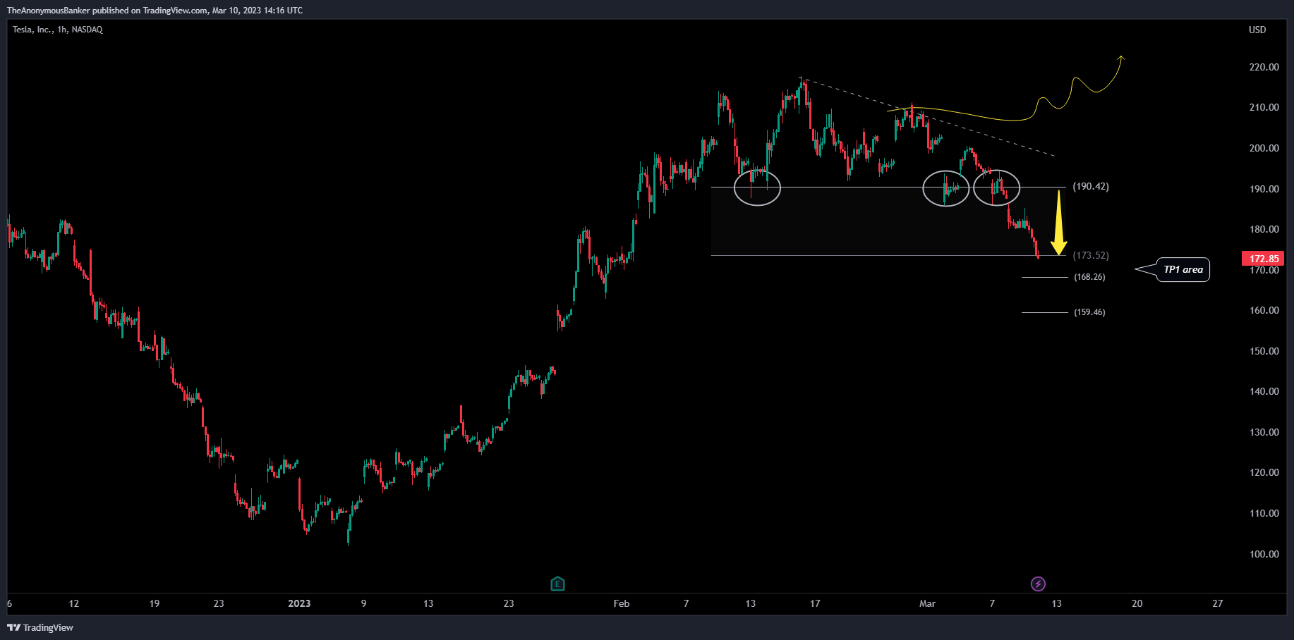 NASDAQ:TSLA Chart Image by TheAnonymousBanker
