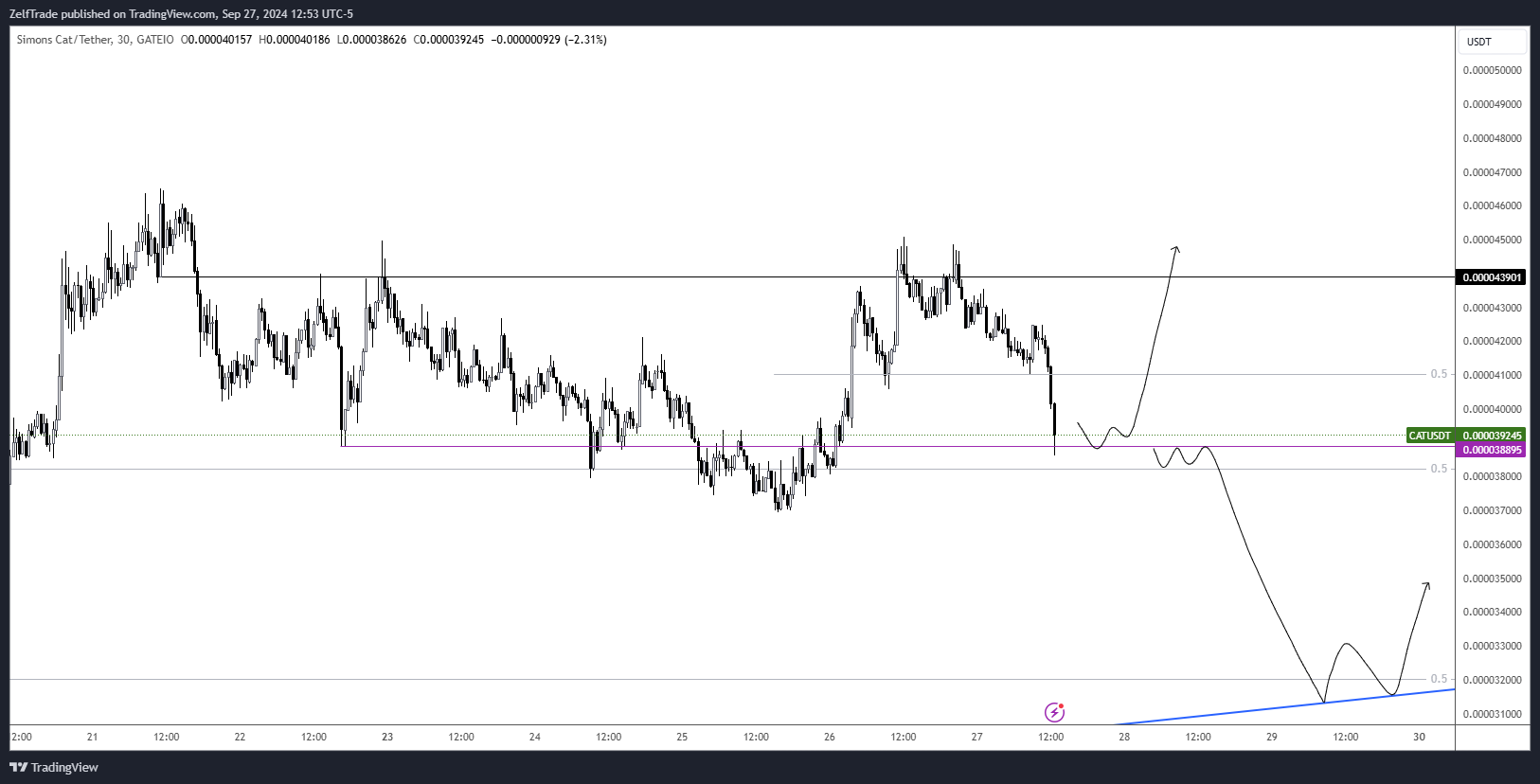 GATEIO:CATUSDT Chart Image by ZelfTrade