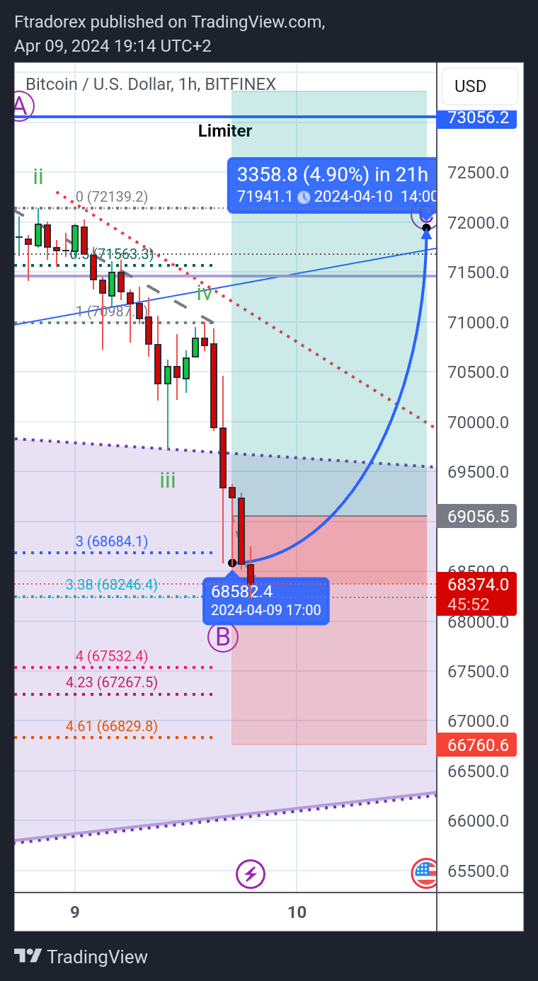 BITFINEX:BTCUSD Chart Image by Ftradorex