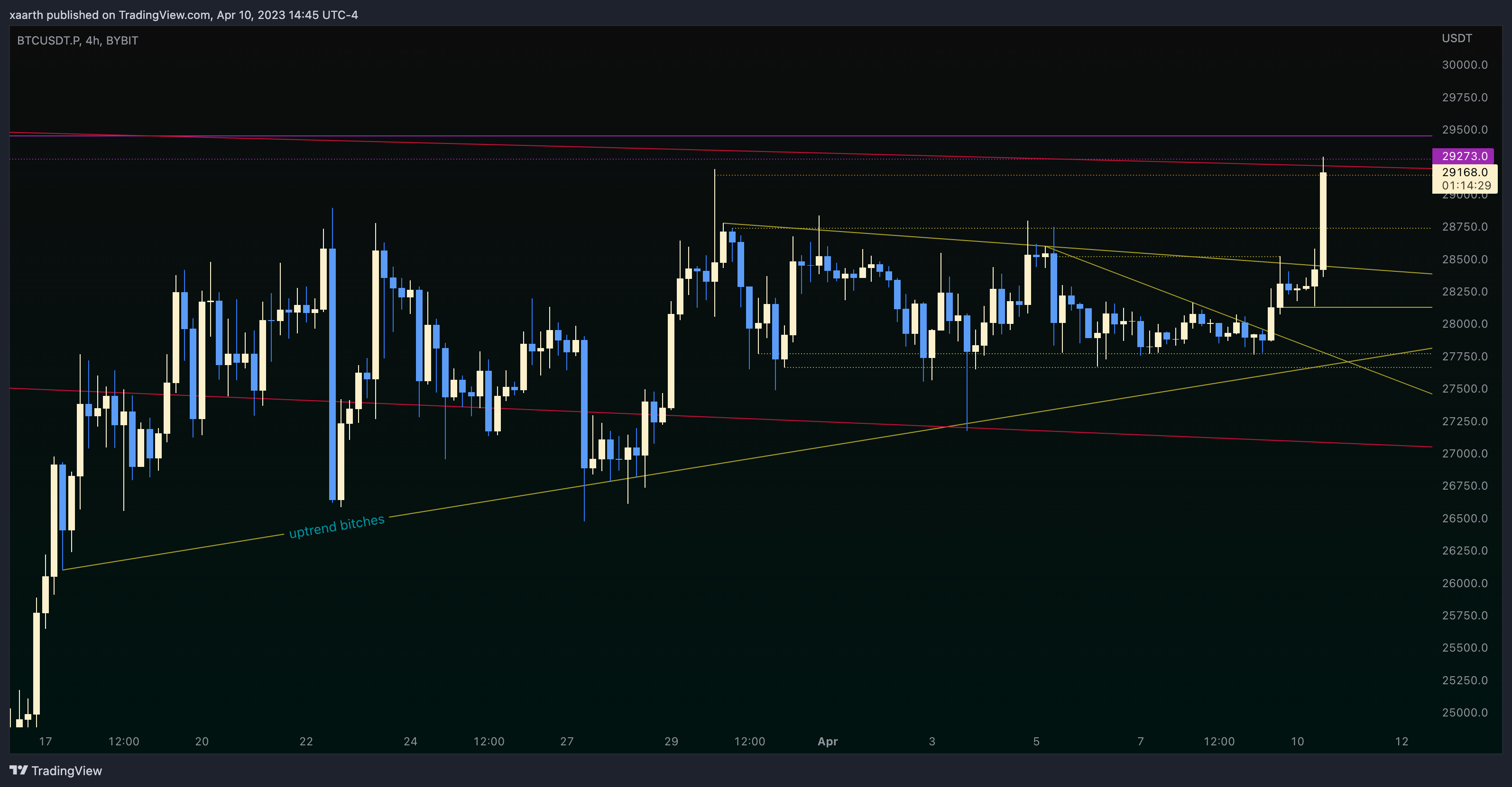 BYBIT:BTCUSDT.P Chart Image by xaarth