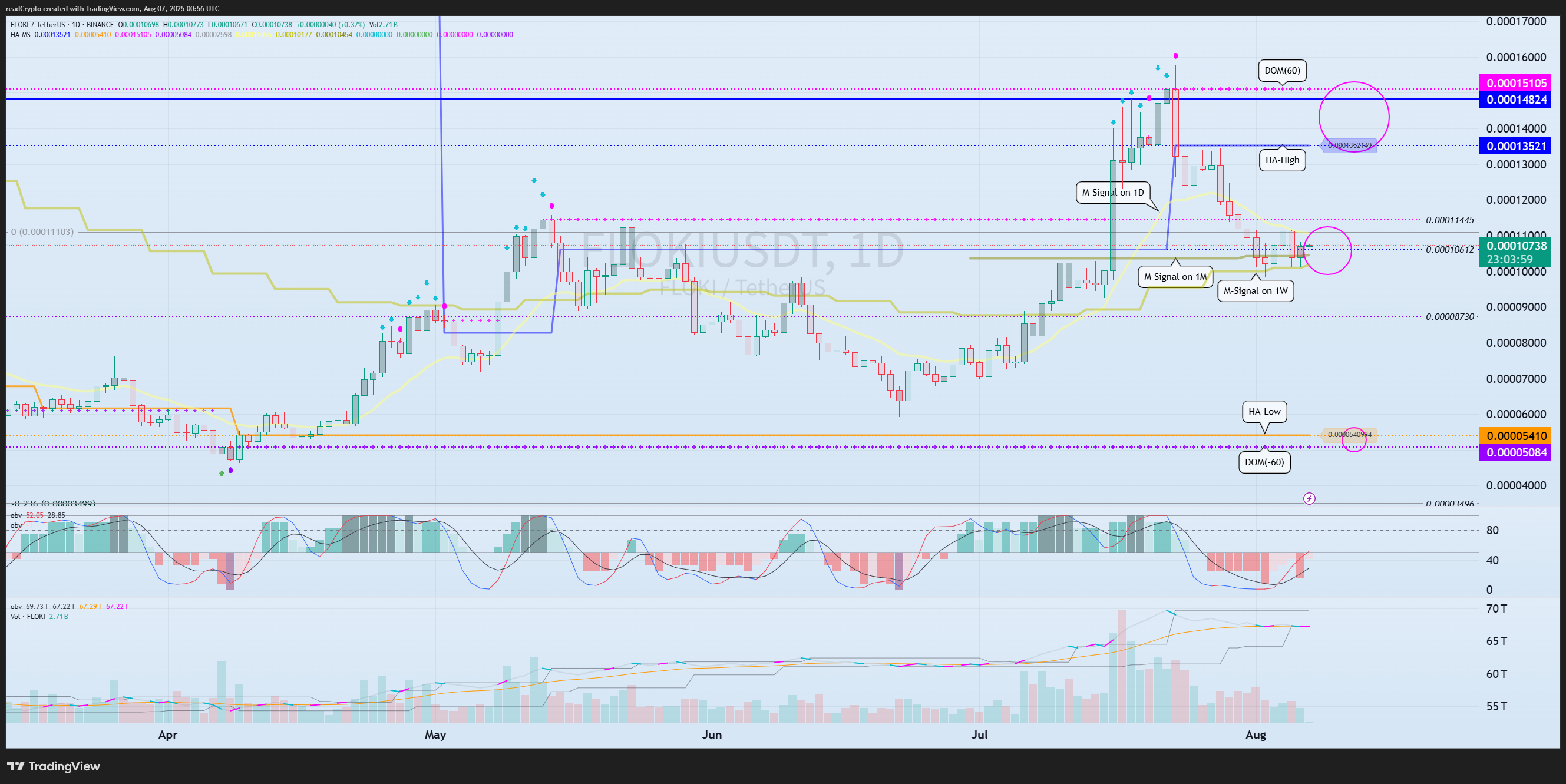BINANCE:FLOKIUSDT Chart Image by readCrypto