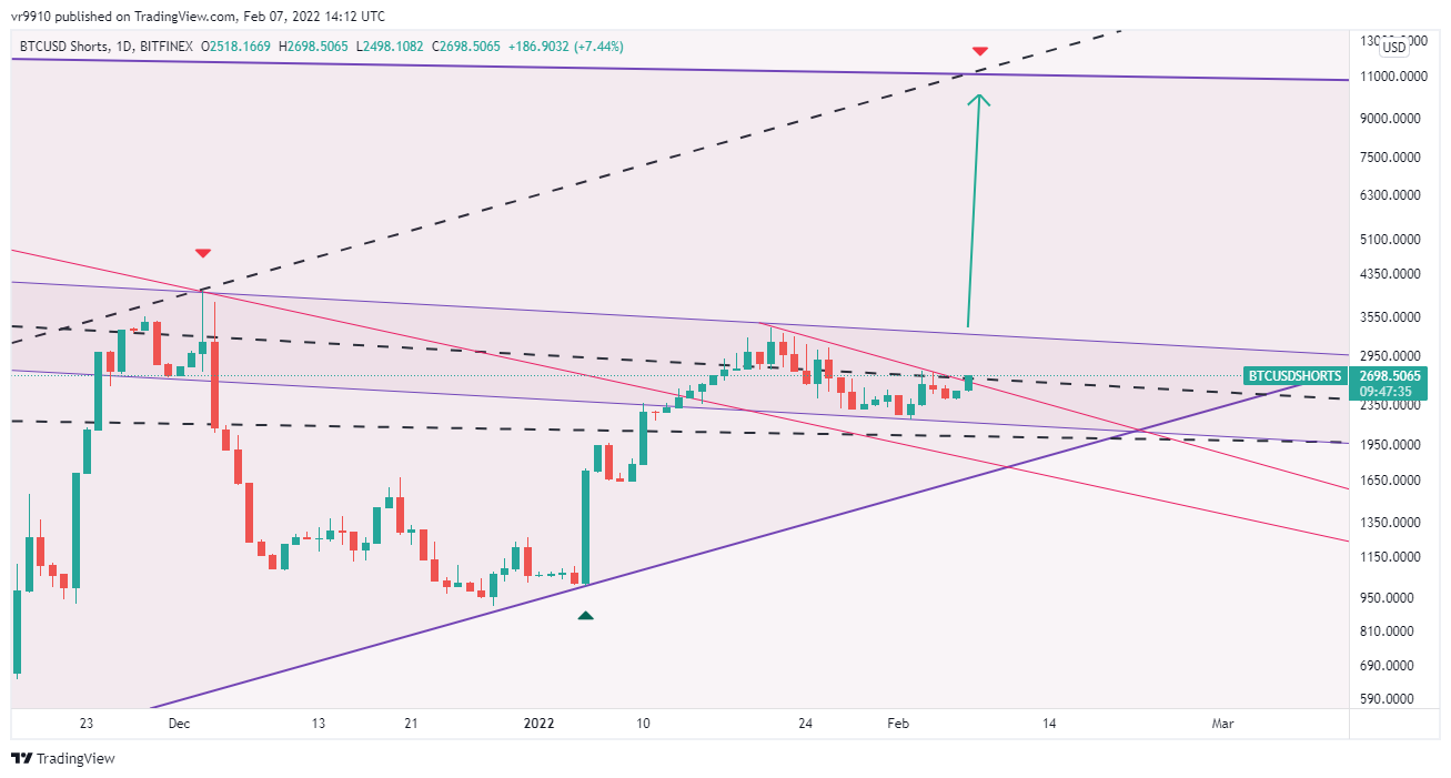 BITFINEX:BTCUSDSHORTS Chart Image by vr9910