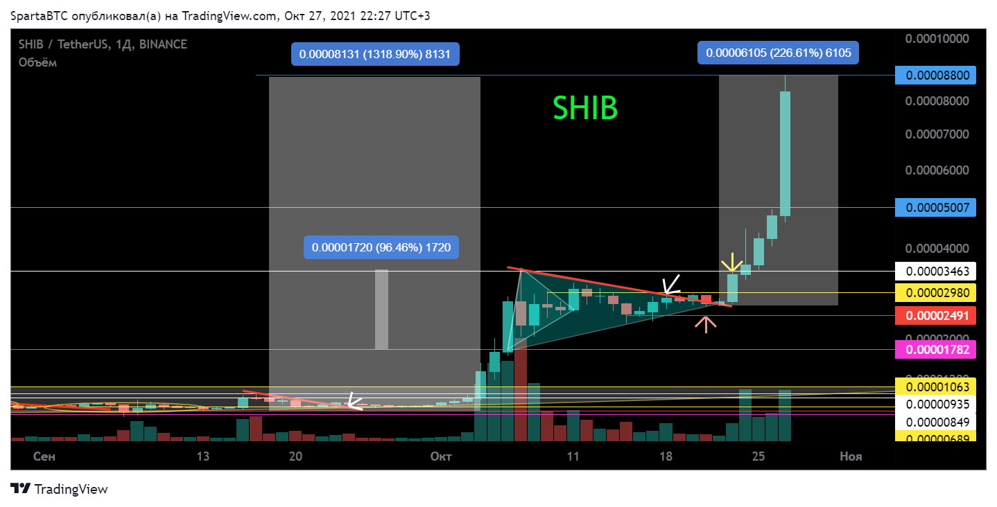 BINANCE:SHIBUSDT Chart Image by SpartaBTC