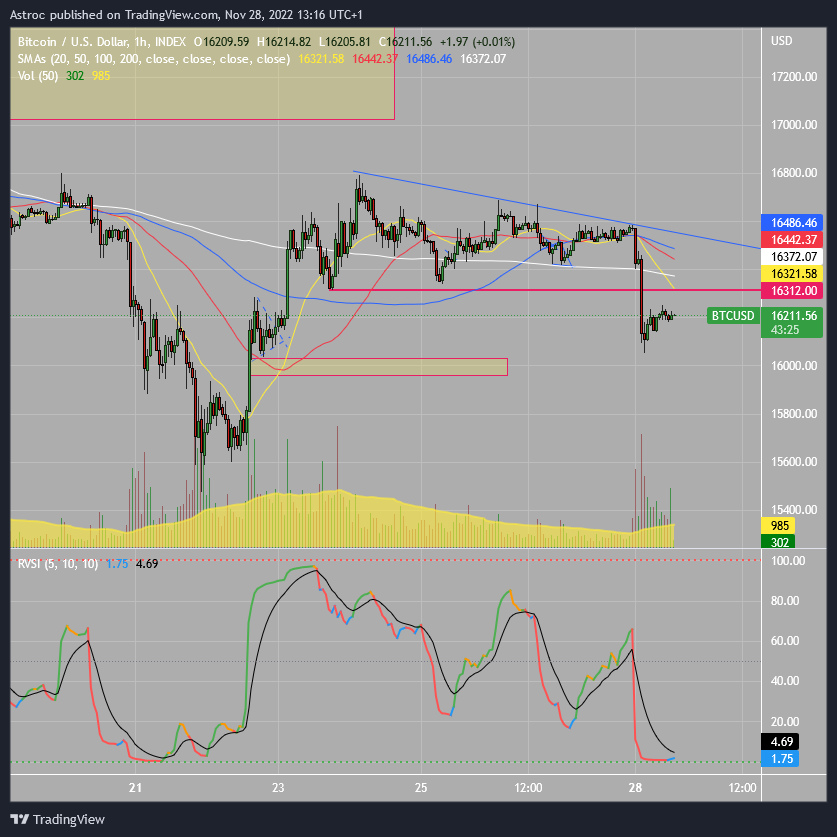 INDEX:BTCUSD Chart Image by Astroc