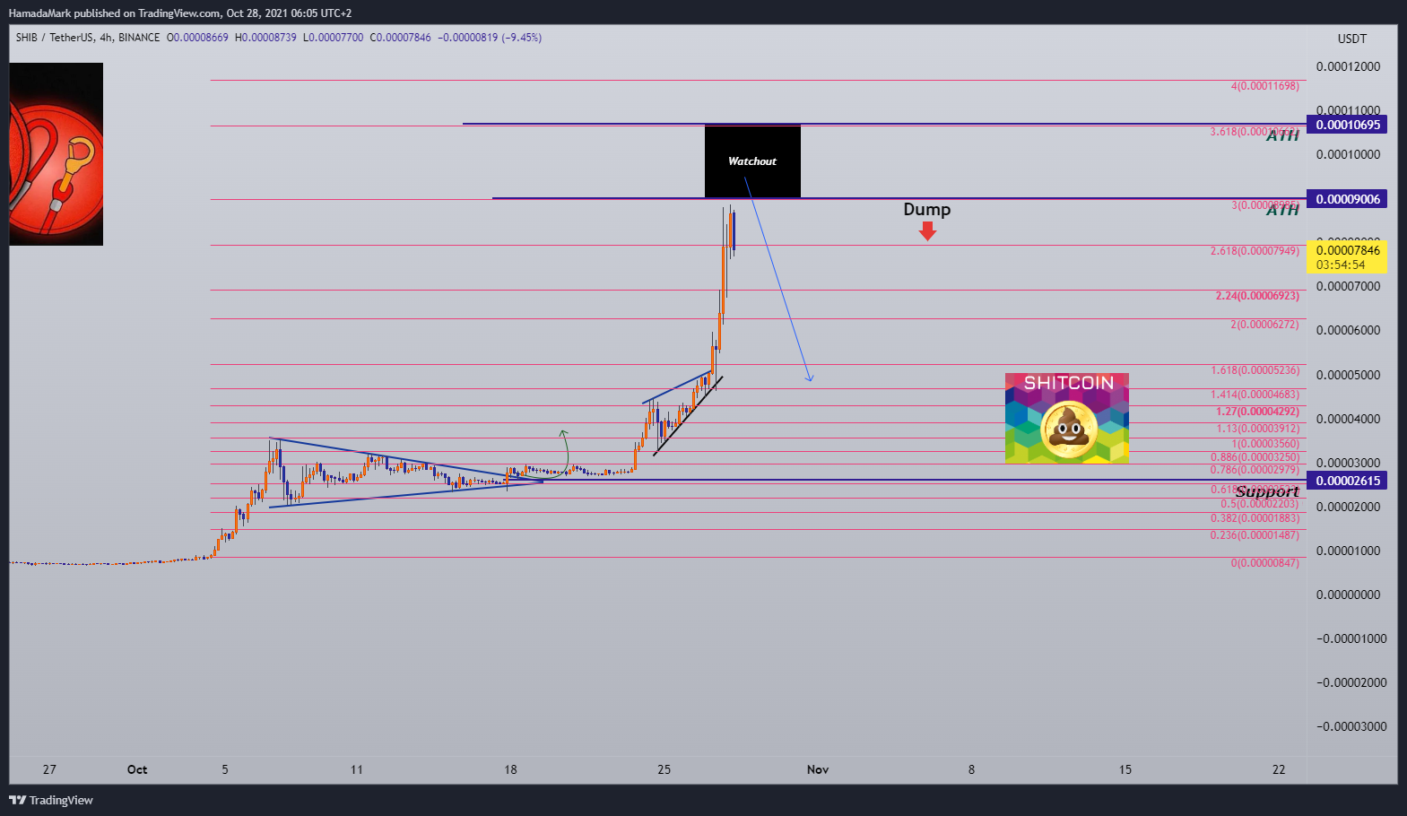 BINANCE:SHIBUSDT Chart Image by HamadaMark