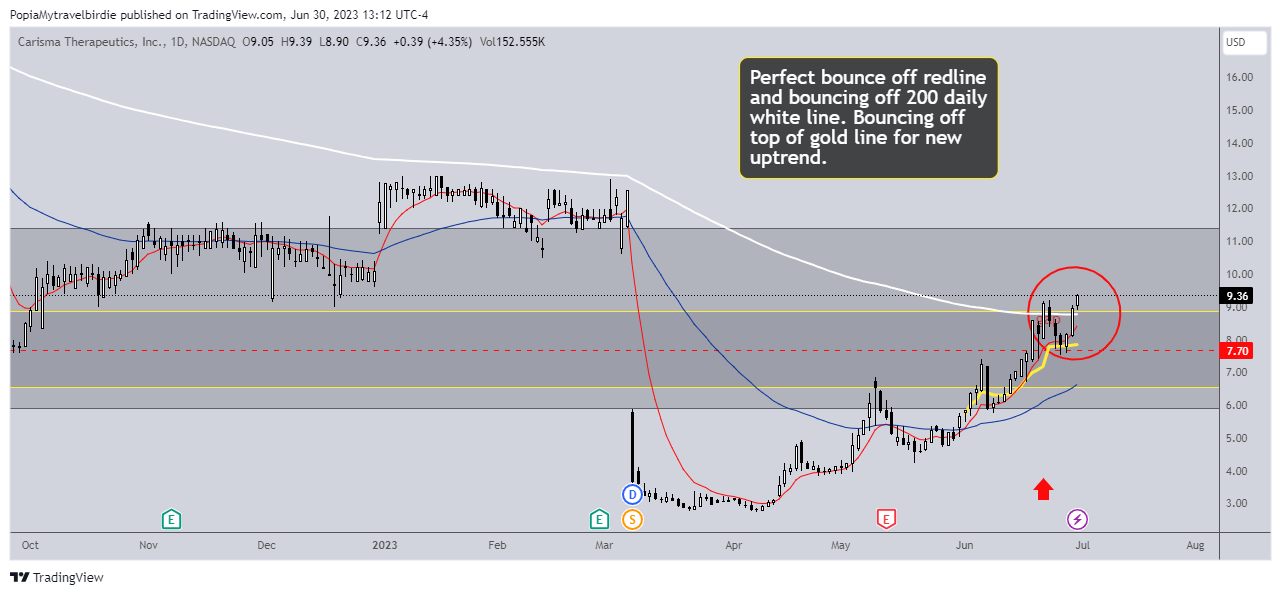 NASDAQ:CARM Chart Image by PopiaMytravelbirdie