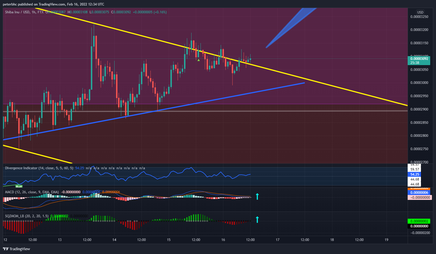 FTX:SHIBUSD Chart Image by peterbhc
