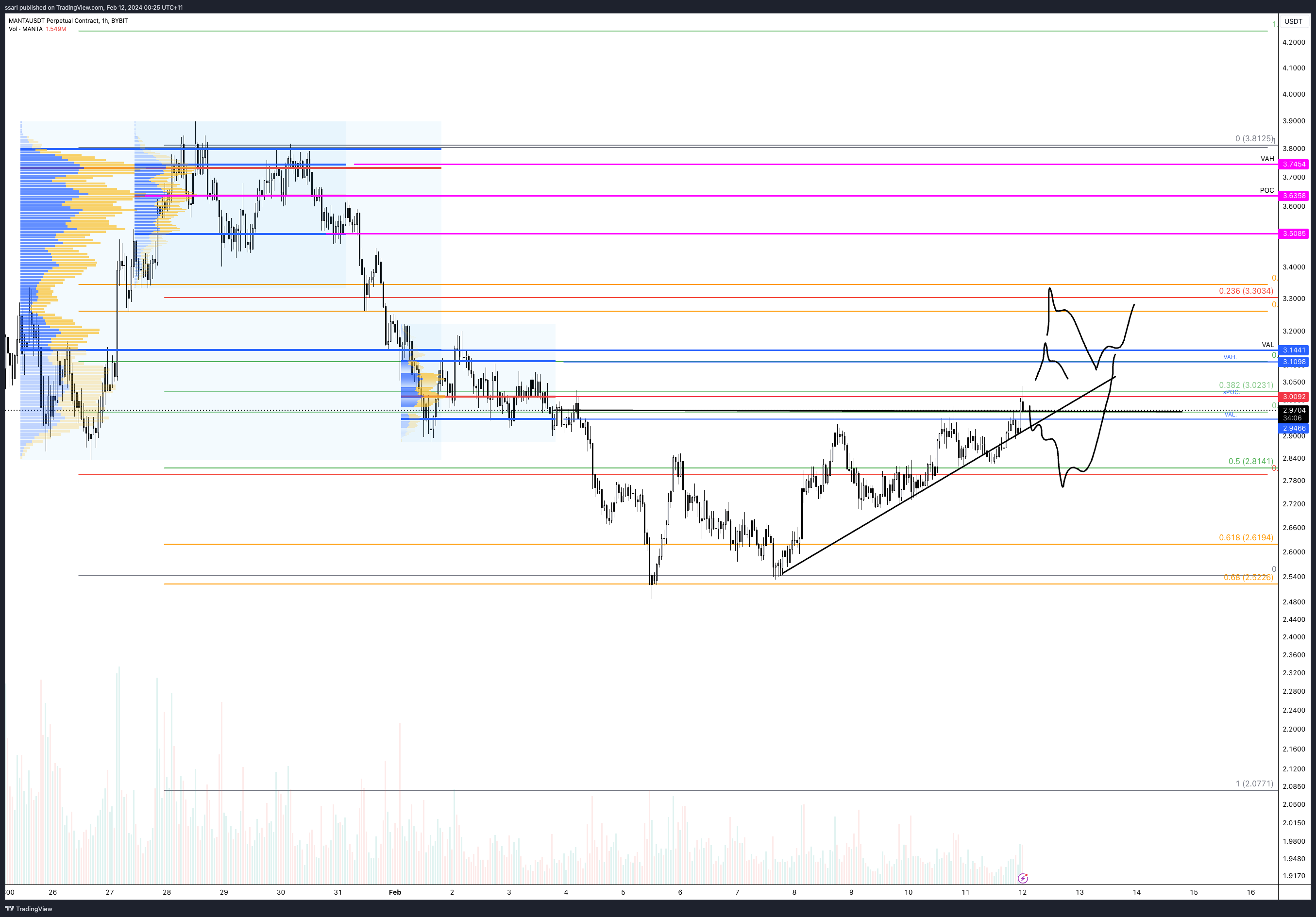BYBIT:MANTAUSDT.P Chart Image by ssari