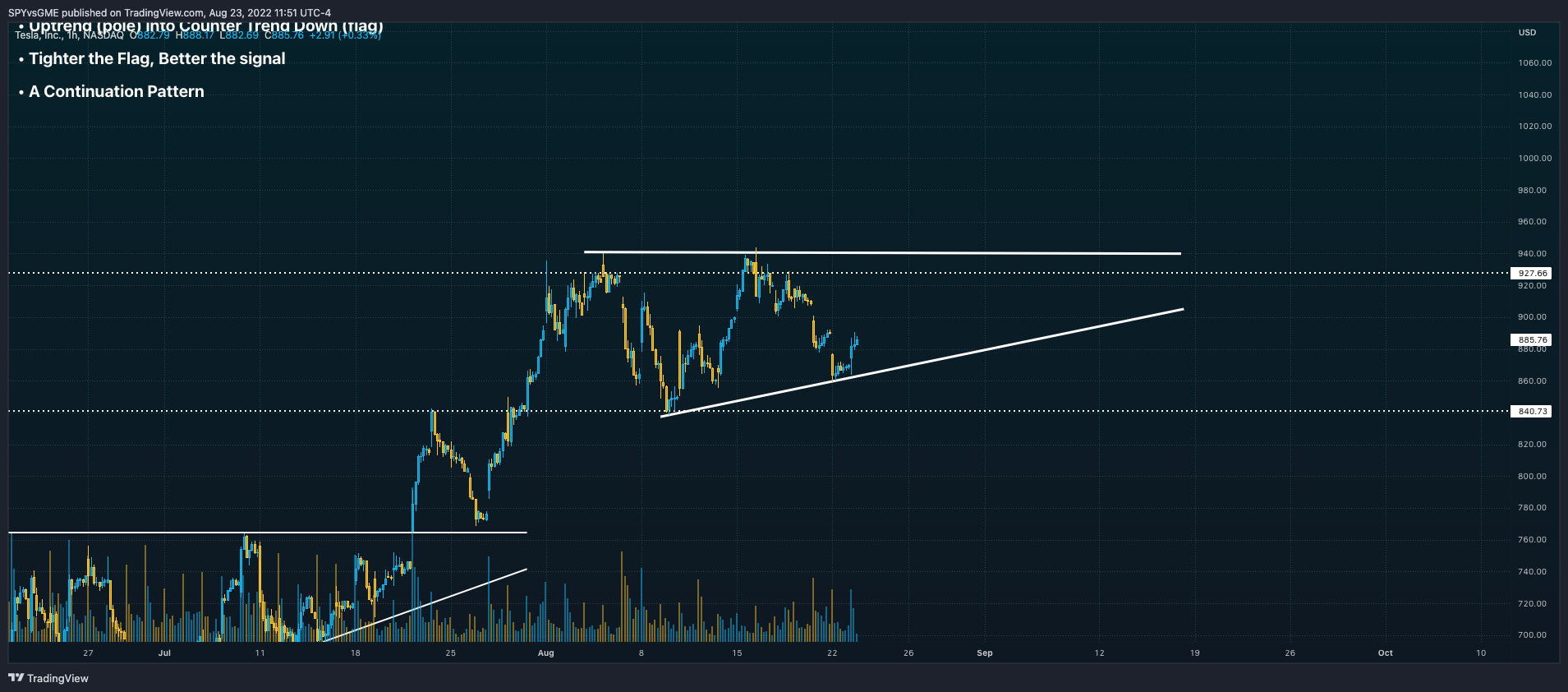 NASDAQ:TSLA Chart Image by SPYvsGME