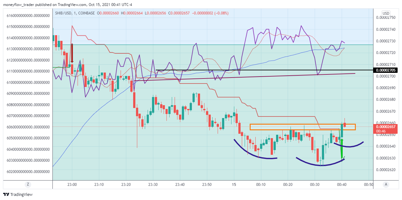 COINBASE:SHIBUSD Chart Image by moneyflow_trader