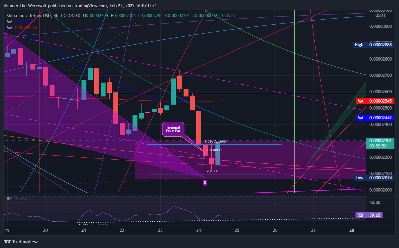POLONIEX:SHIBUSDT Chart Image by Akamer-the-Werewolf