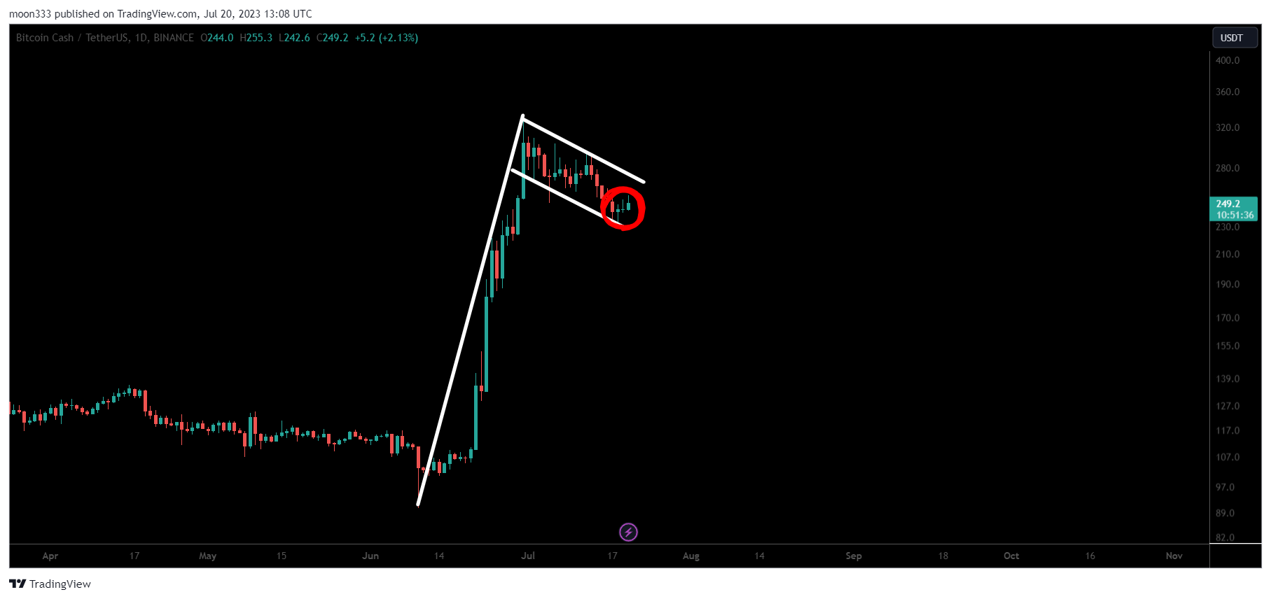 BINANCE:BCHUSDT Chart Image by moon333