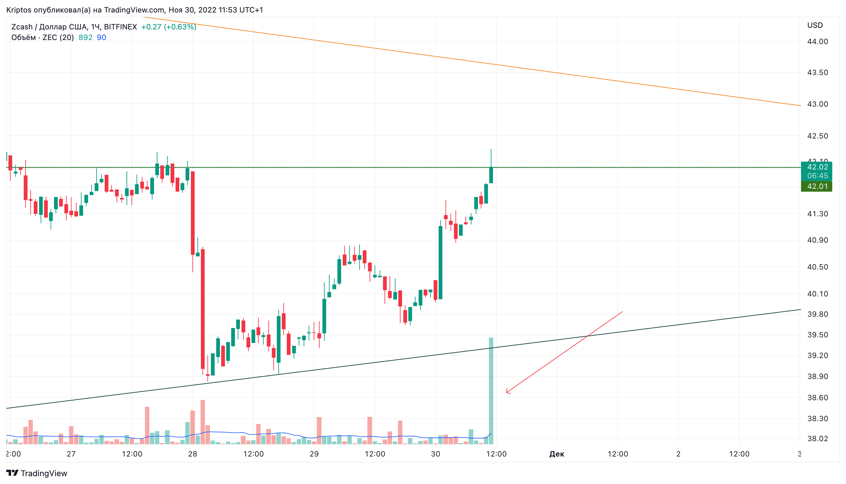 BITFINEX:ZECUSD Chart Image by Kirill_Gaitan