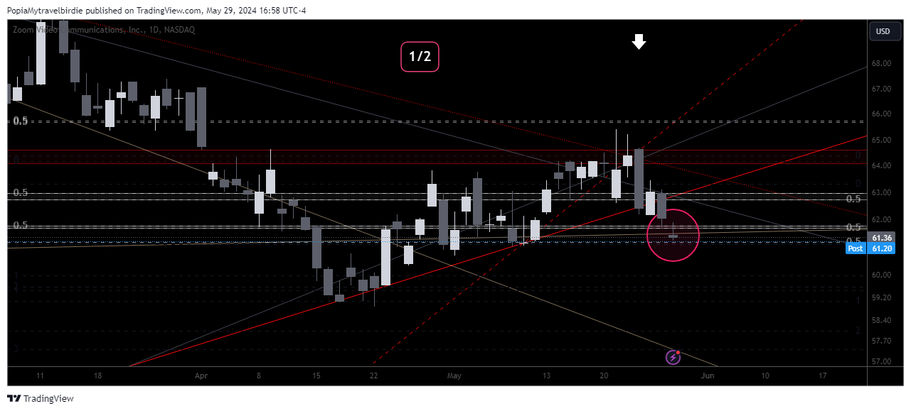 BATS:ZM Chart Image by PopiaMytravelbirdie