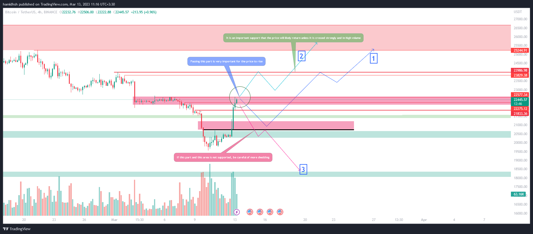 BINANCE:BTCUSDT Chart Image by hamidhsh
