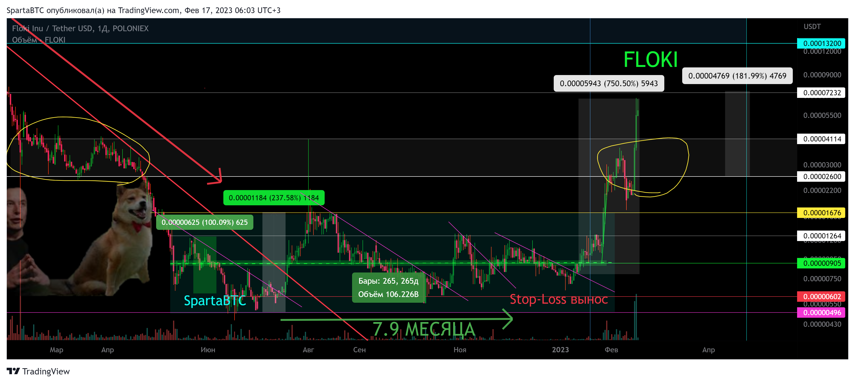 POLONIEX:FLOKIUSDT Chart Image by SpartaBTC