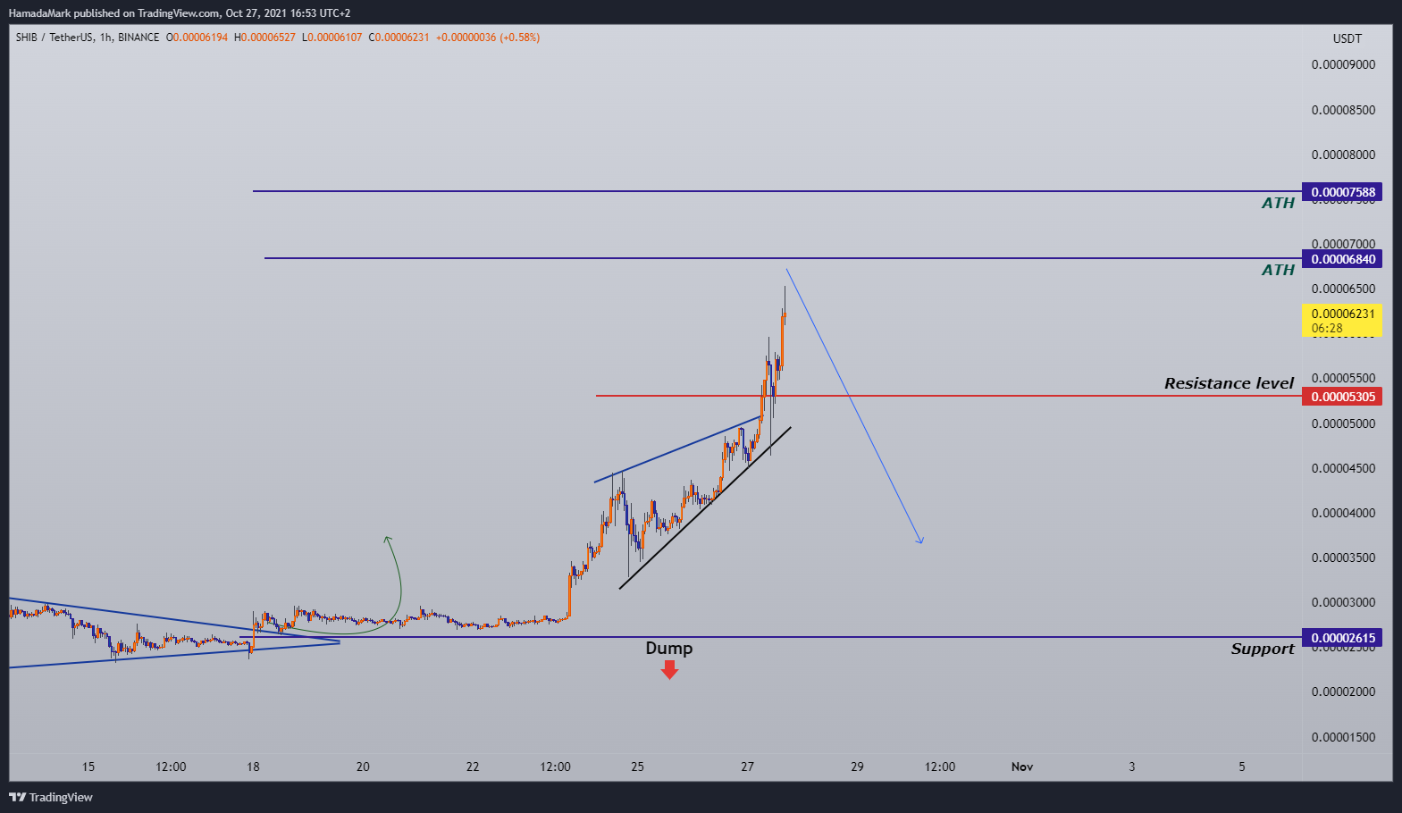 BINANCE:SHIBUSDT Chart Image by HamadaMark