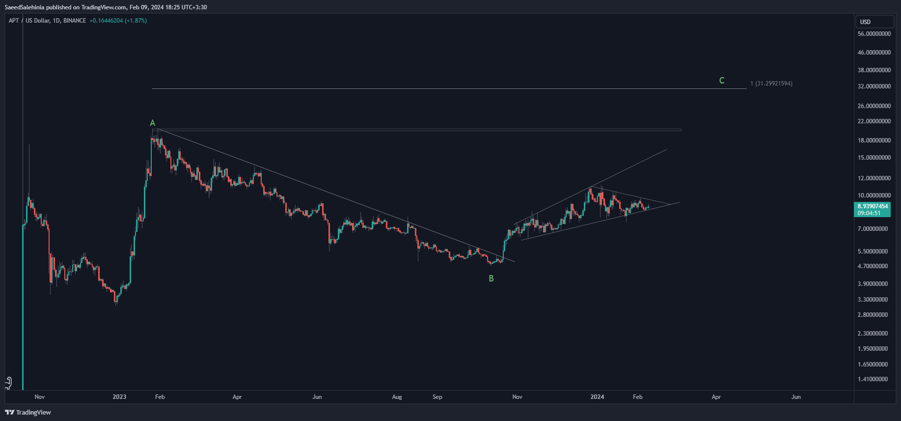 BINANCE:APTUSD Chart Image by SaeedSalehinia
