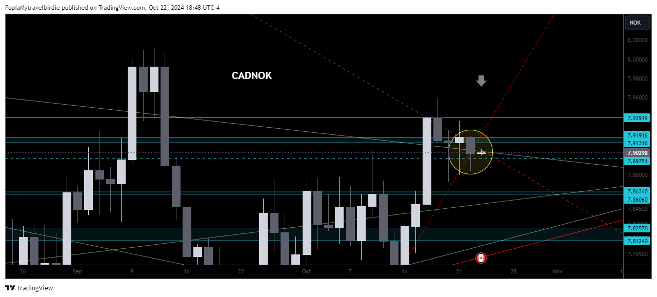 FOREXCOM:CADNOK Chart Image by PopiaMytravelbirdie